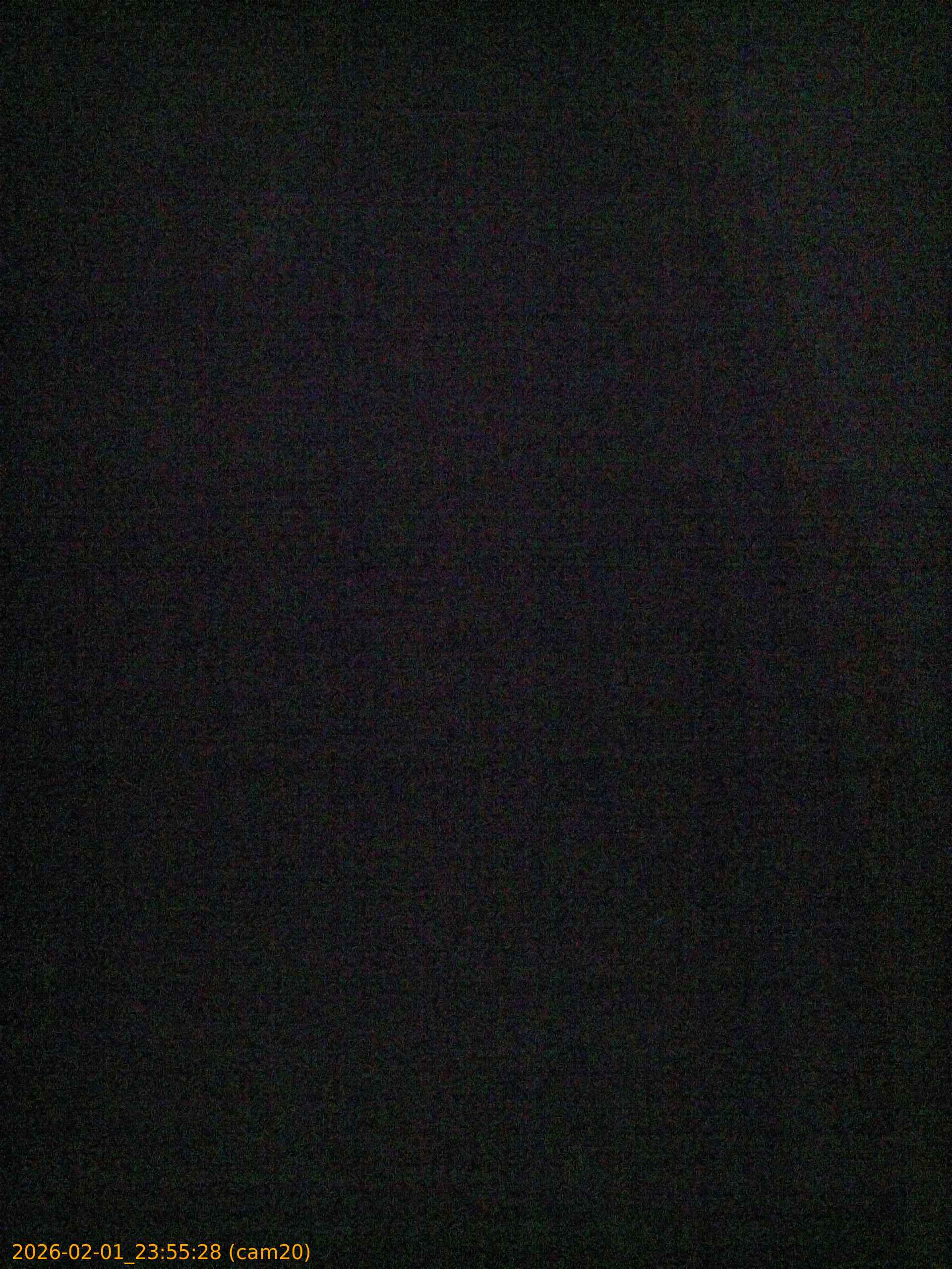 thumbnail_20260201235528