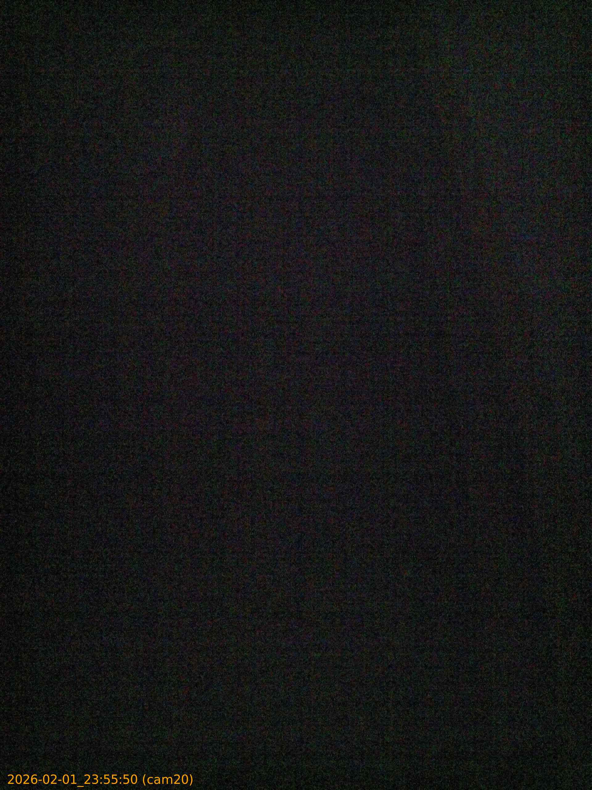 thumbnail_20260201235550