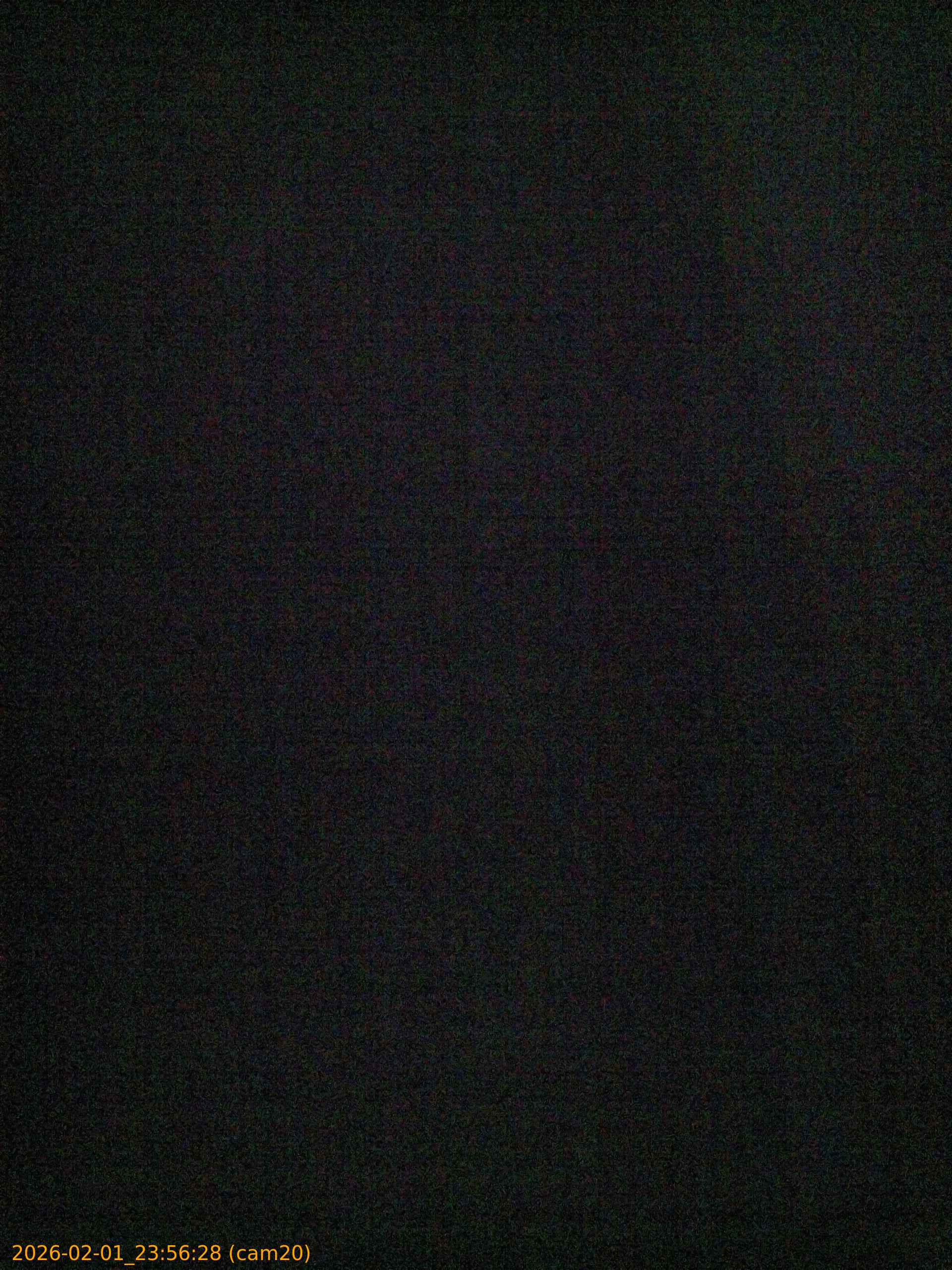 thumbnail_20260201235628