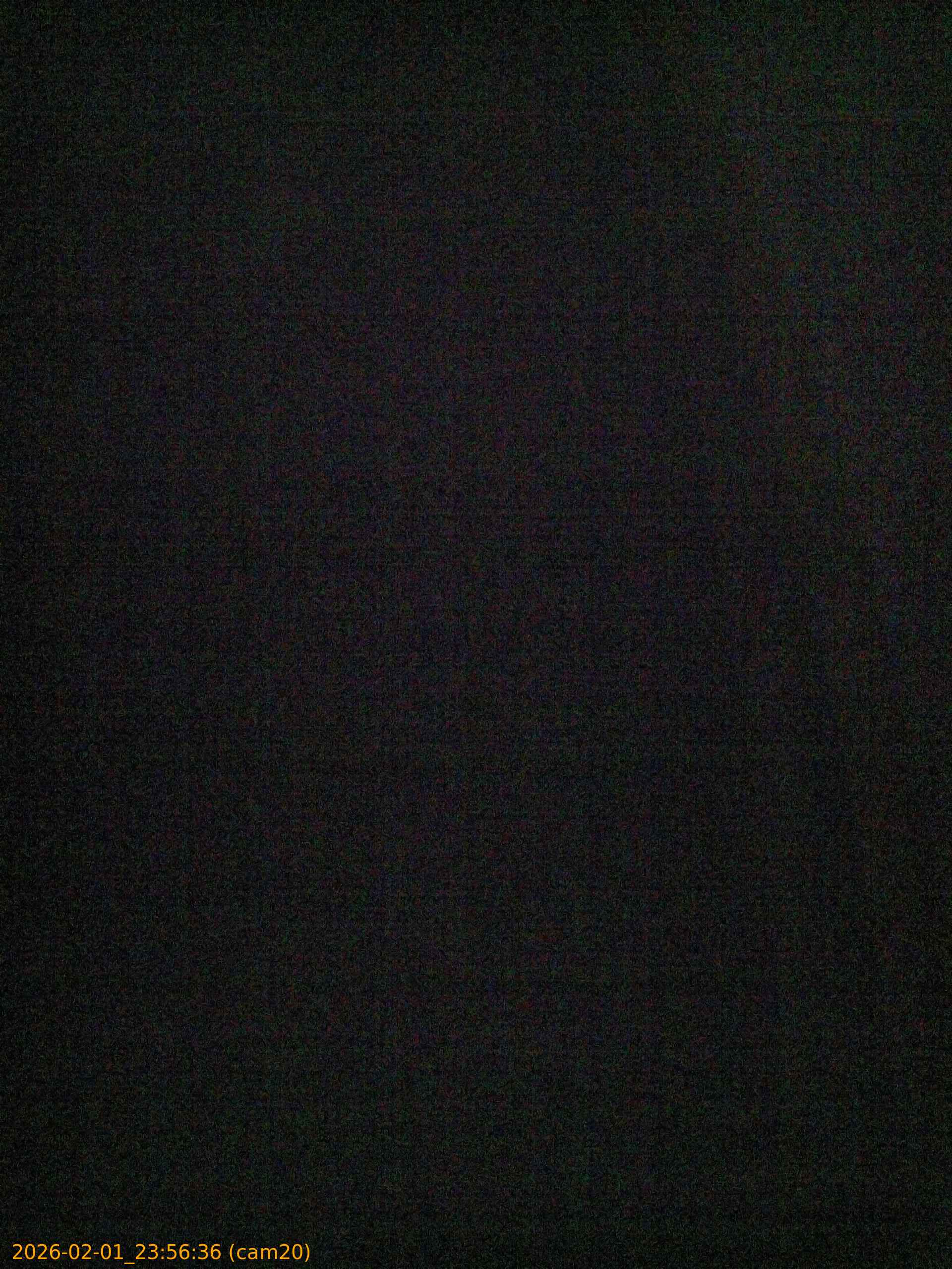 thumbnail_20260201235636