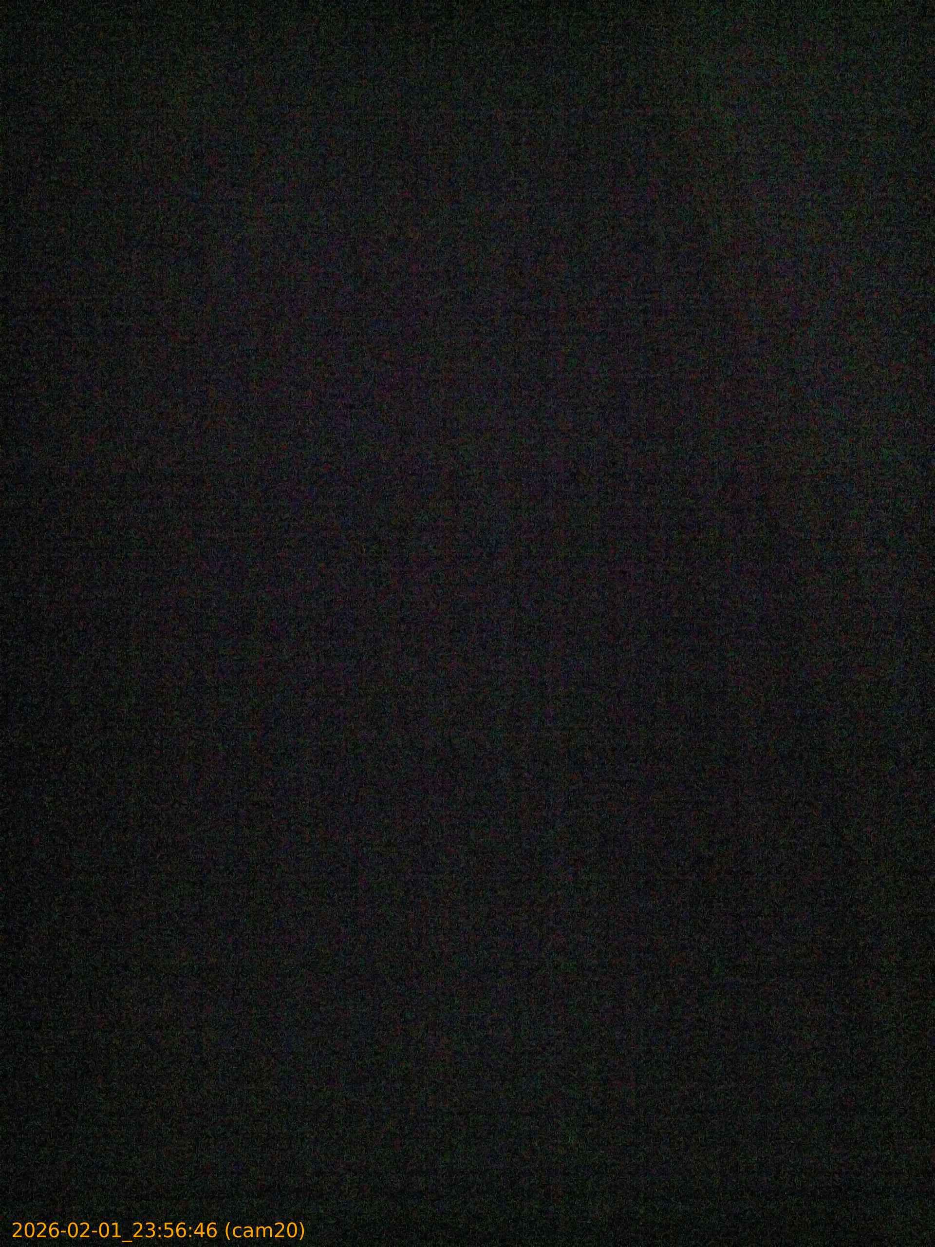 thumbnail_20260201235646