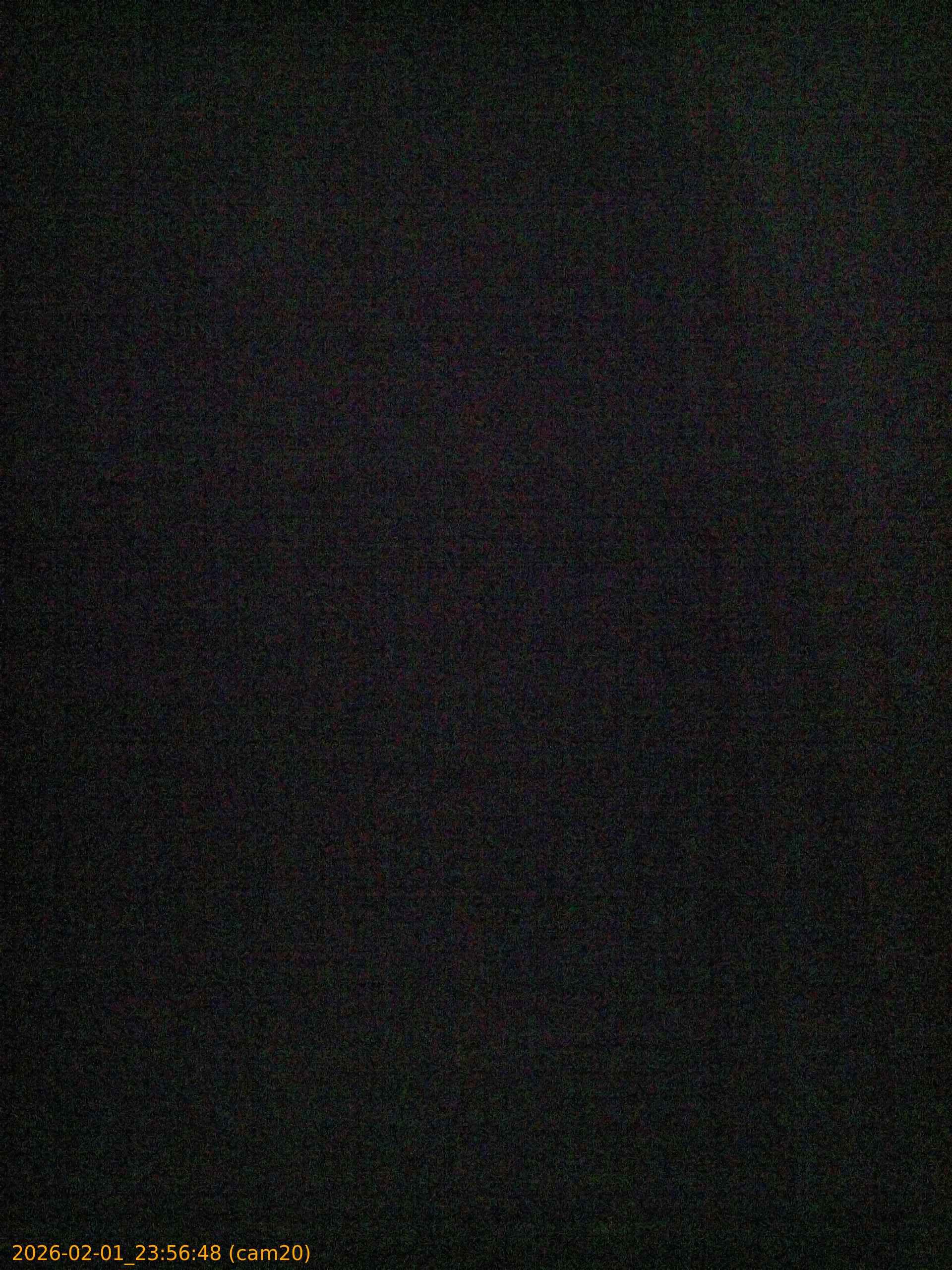 thumbnail_20260201235648