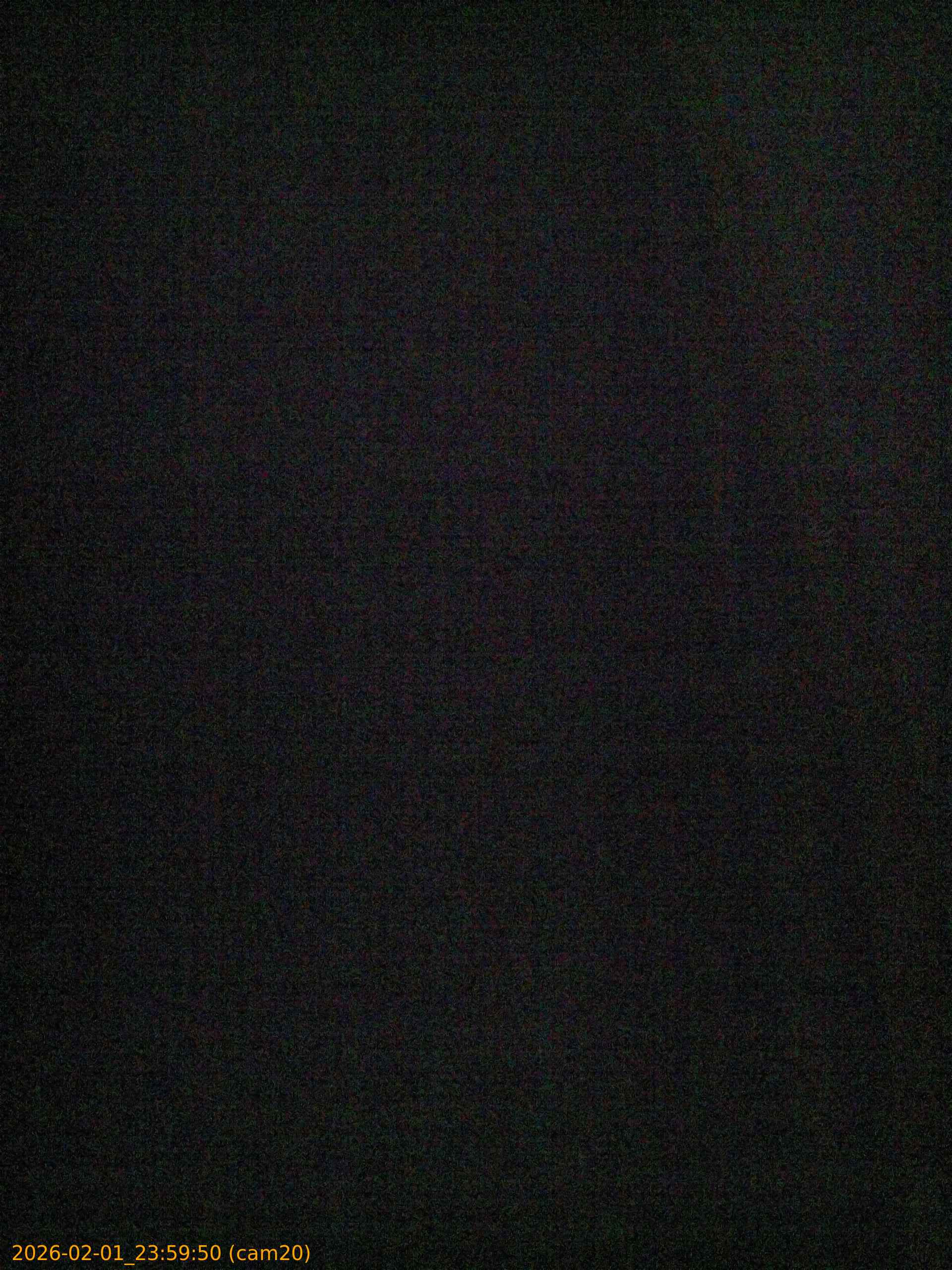 thumbnail_20260201235950