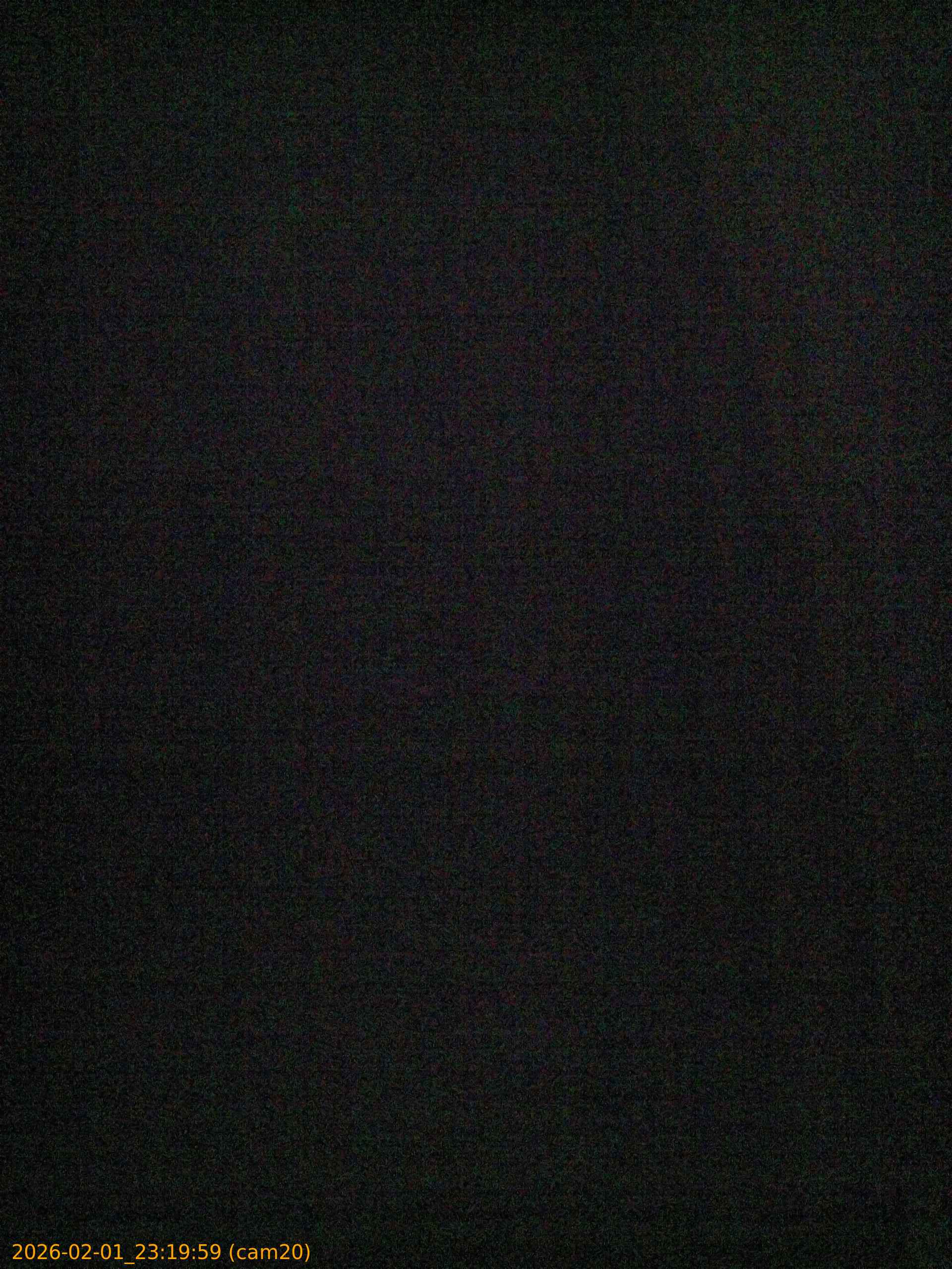 thumbnail_202602012319