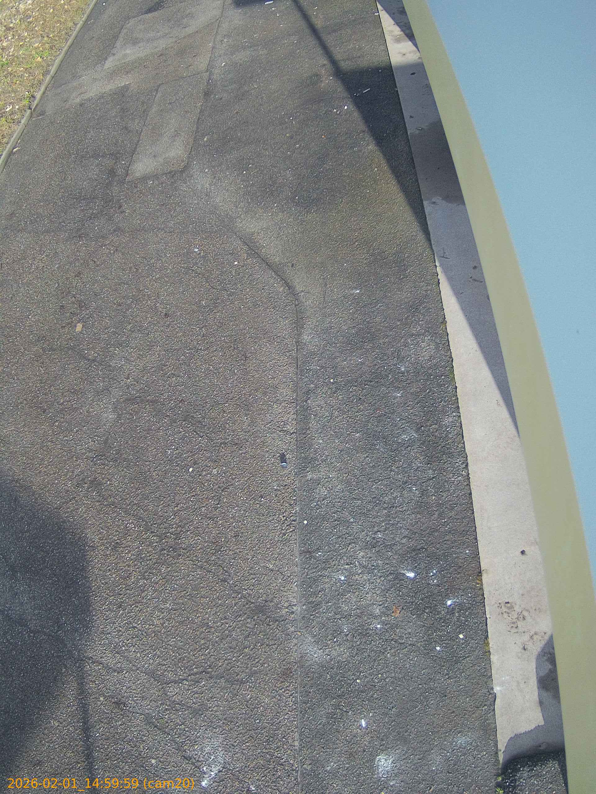 thumbnail_2026020114