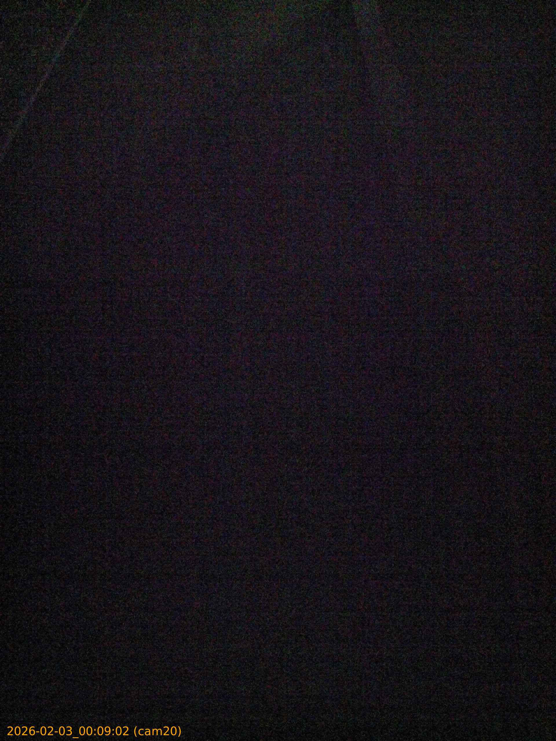 thumbnail_20260203000902