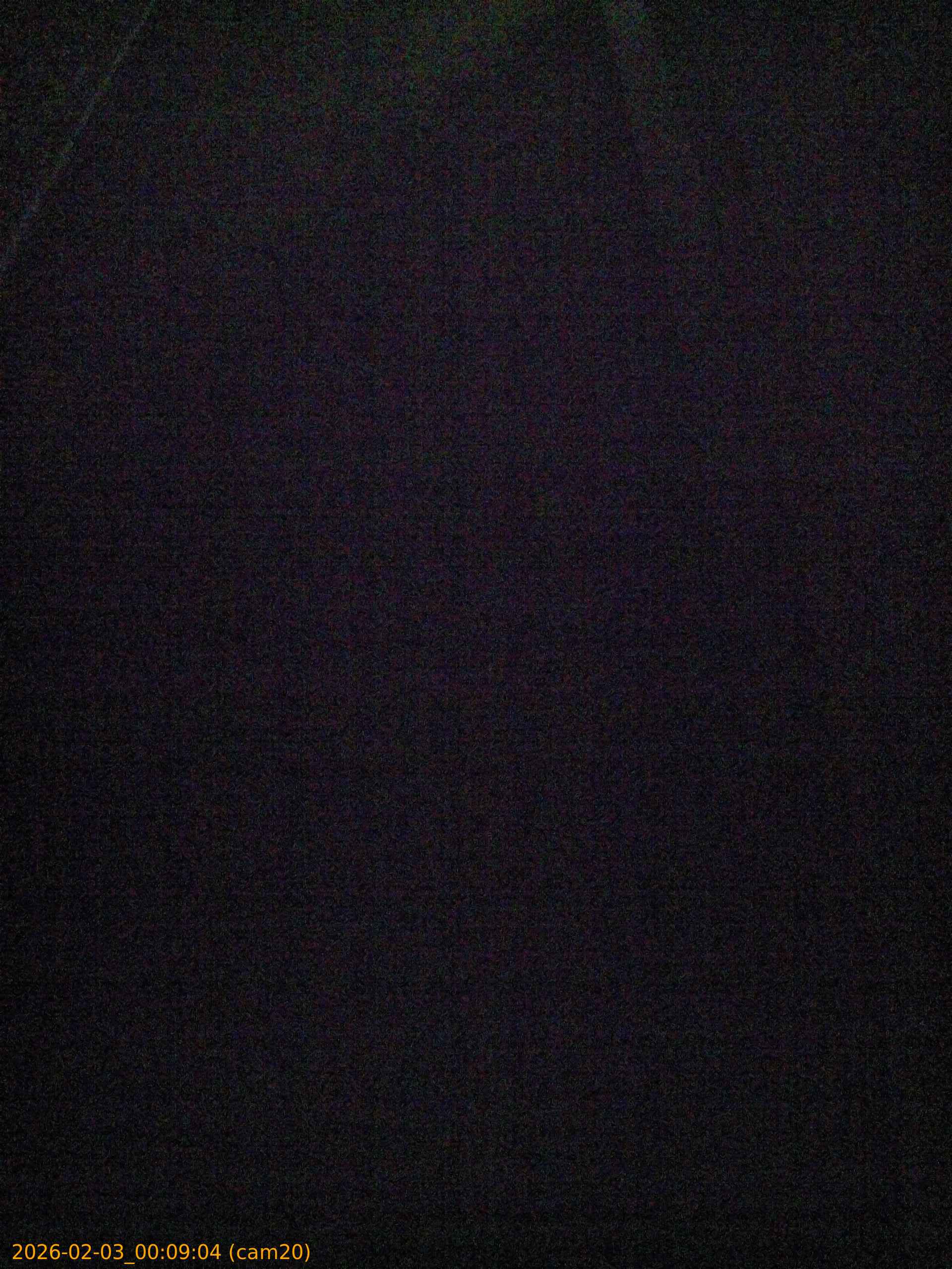 thumbnail_20260203000904