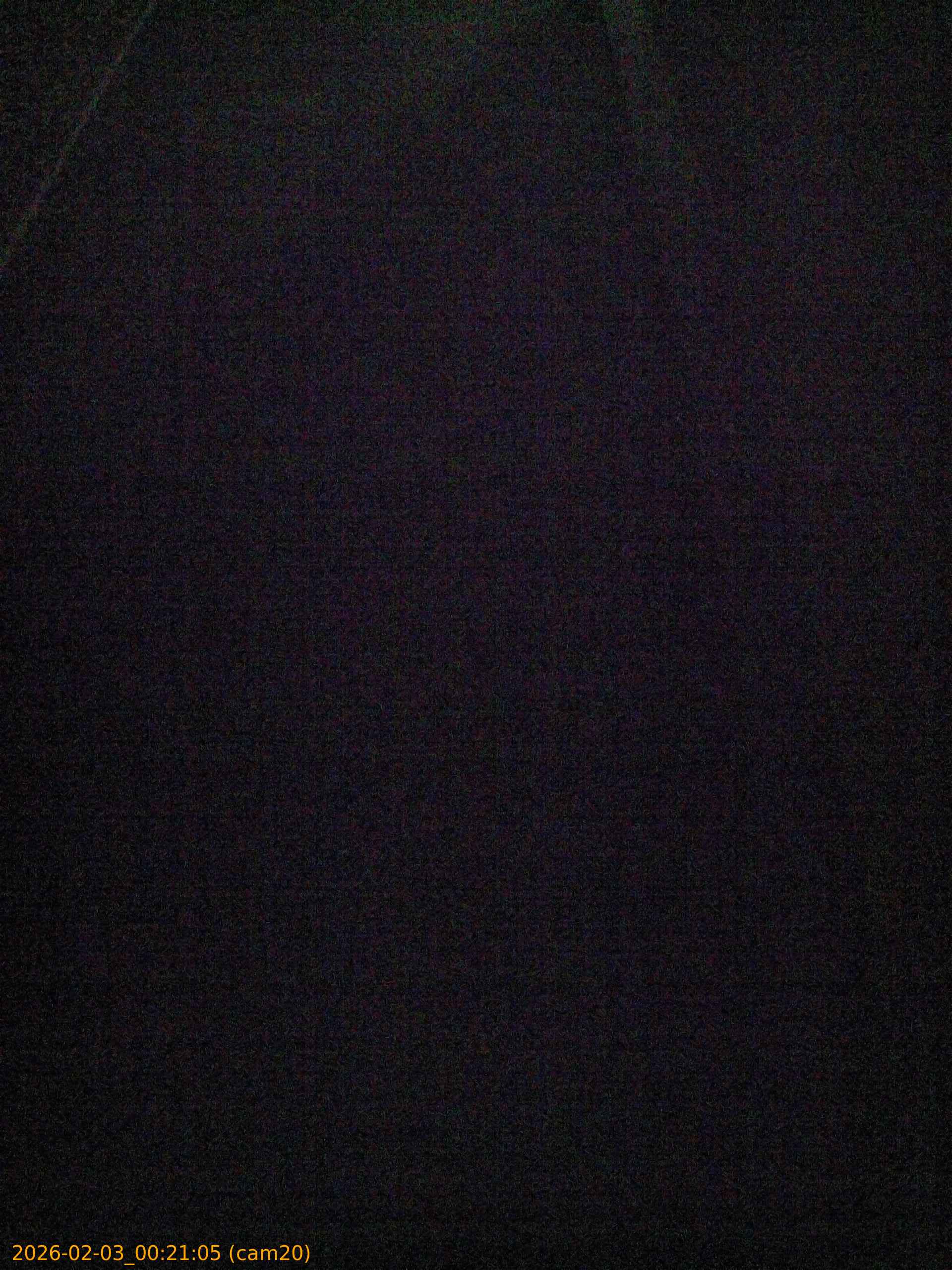 thumbnail_20260203002105