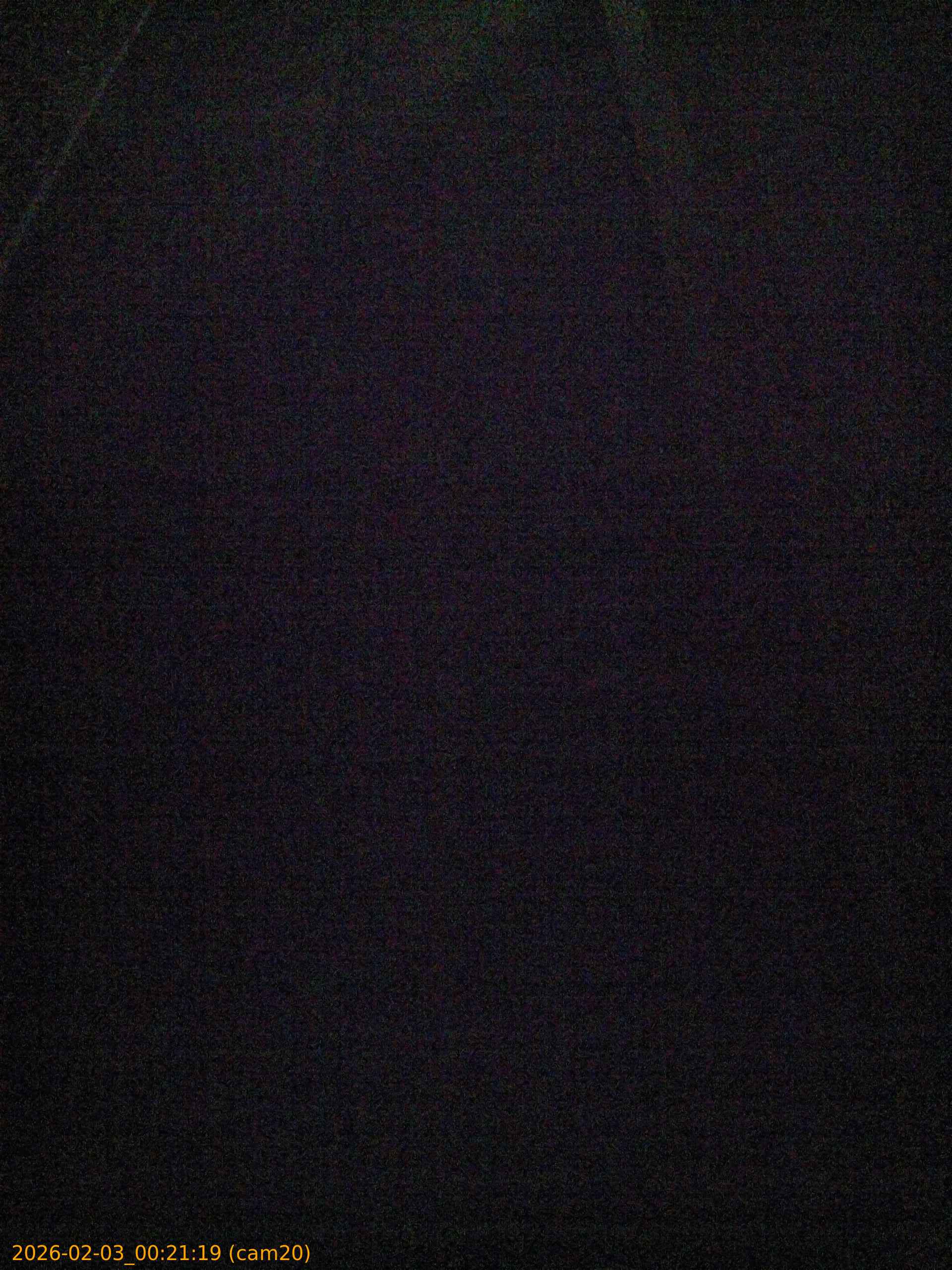 thumbnail_20260203002119