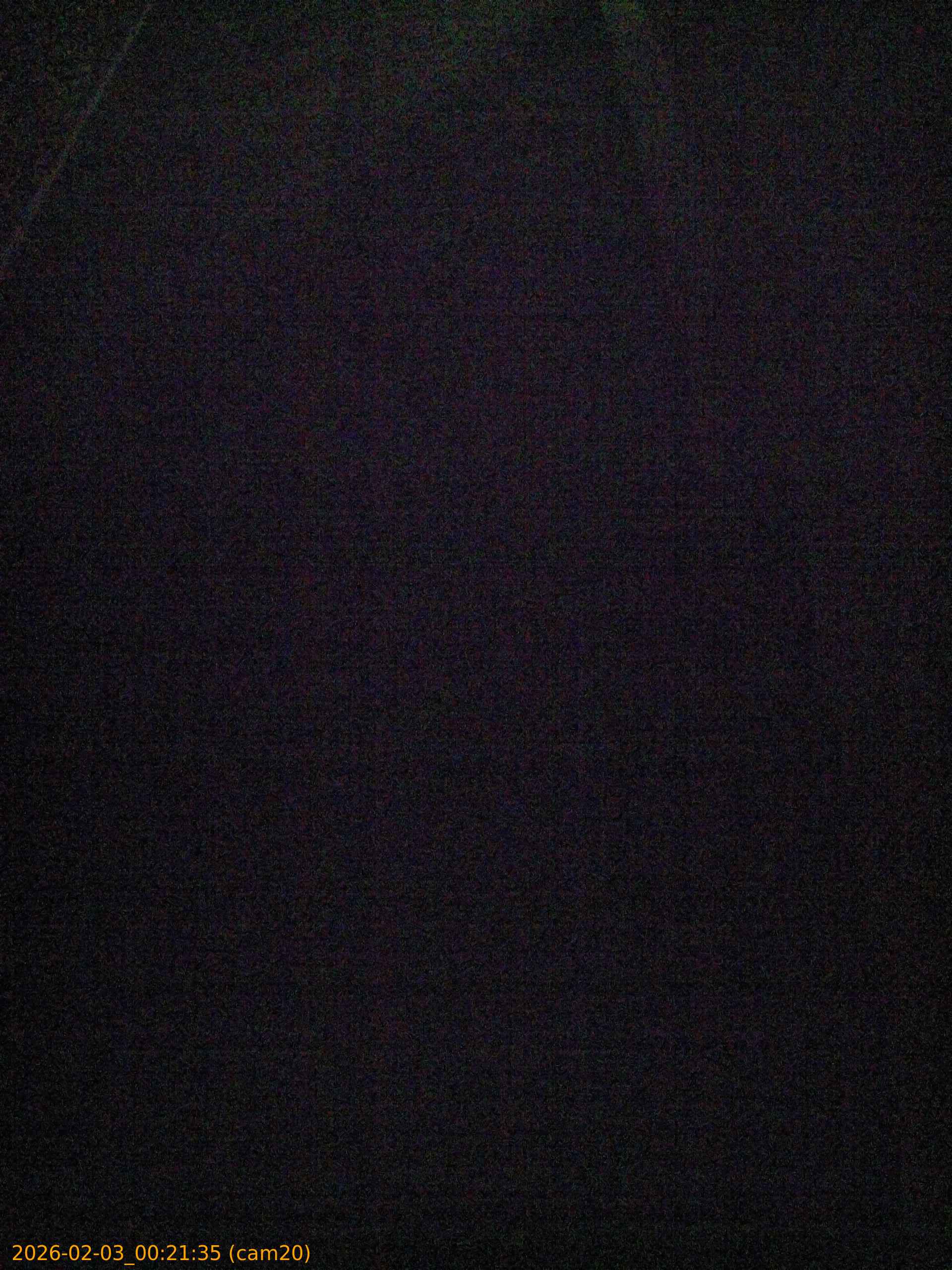 thumbnail_20260203002135