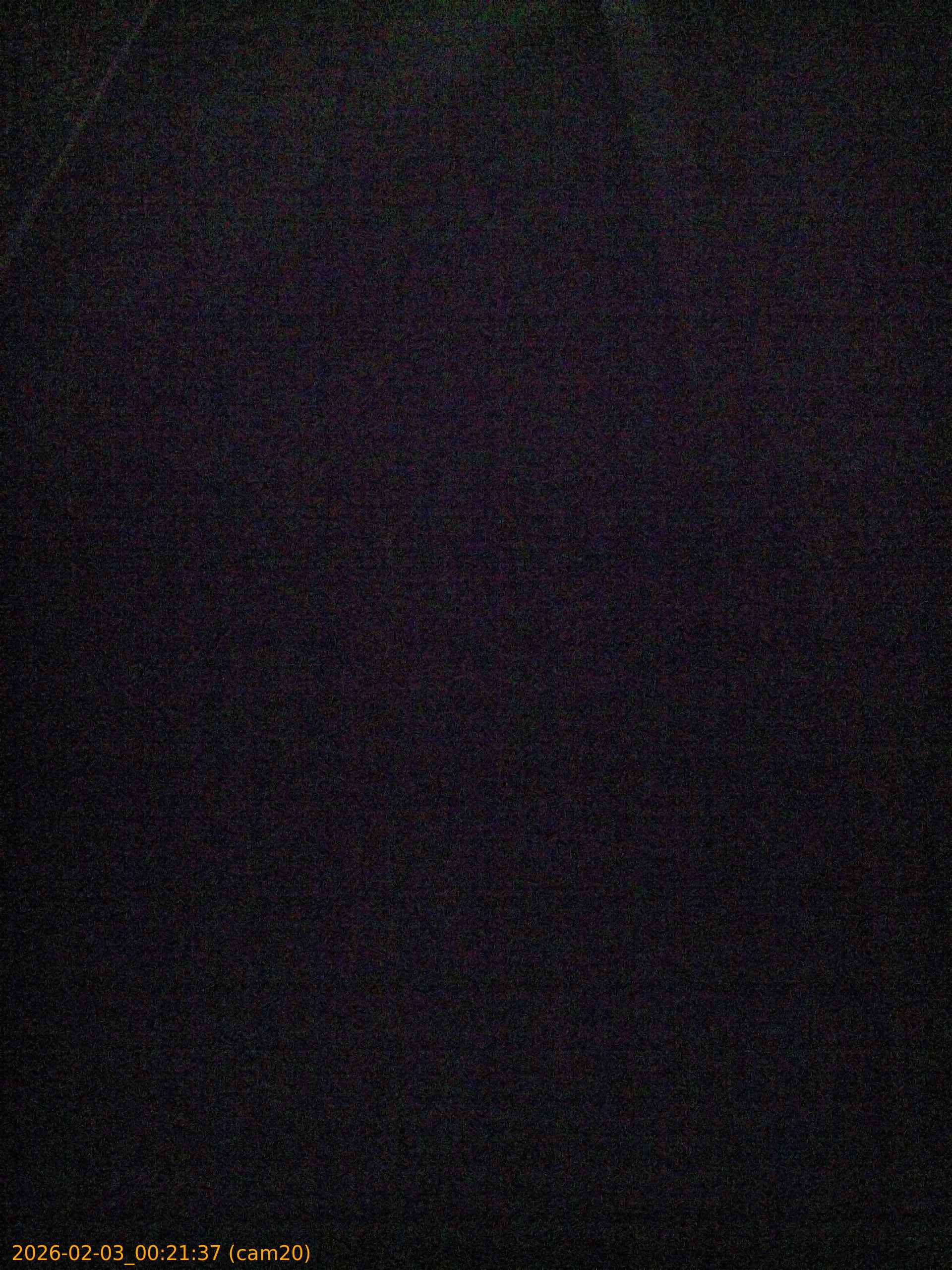 thumbnail_20260203002137