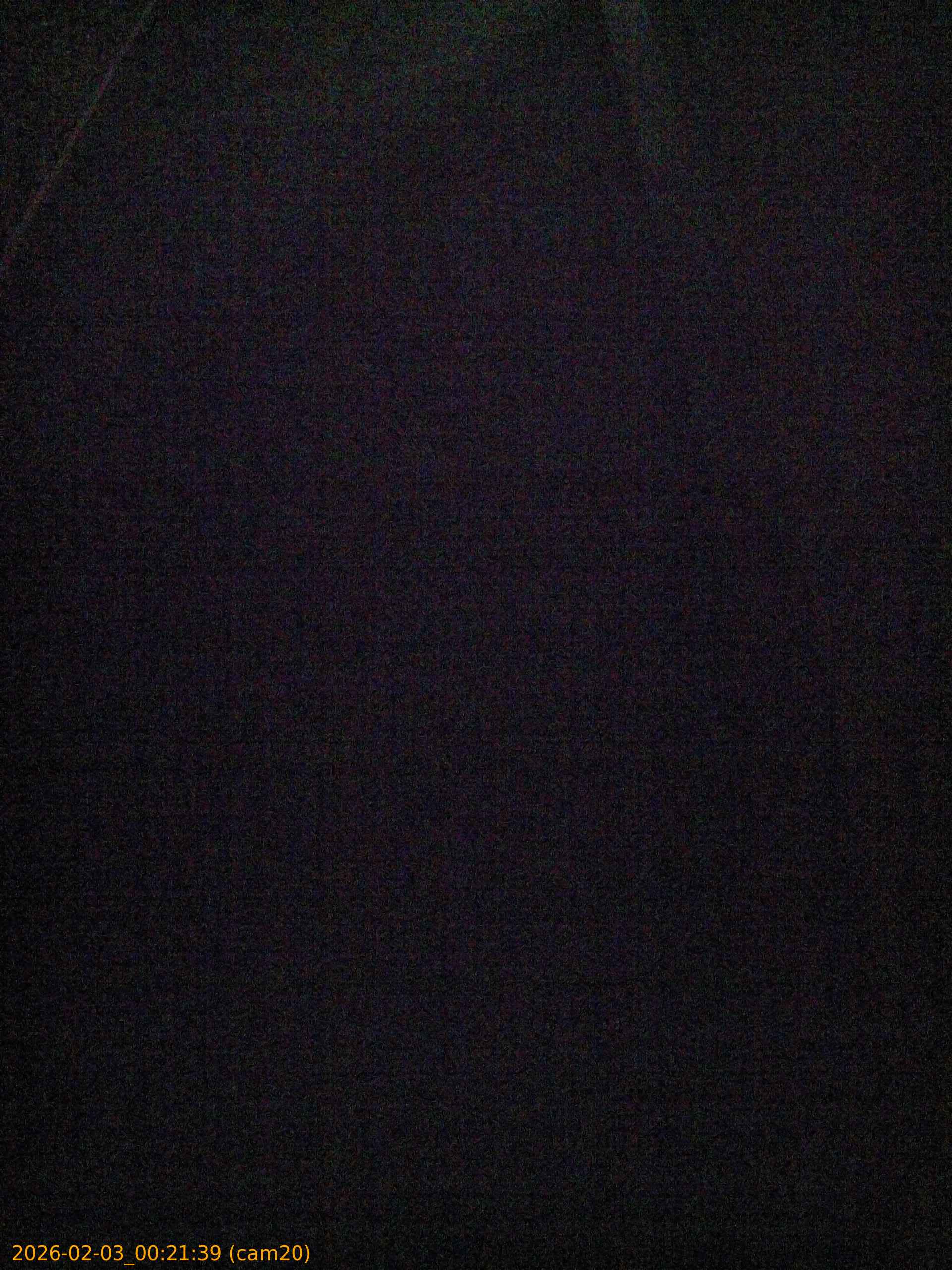 thumbnail_20260203002139