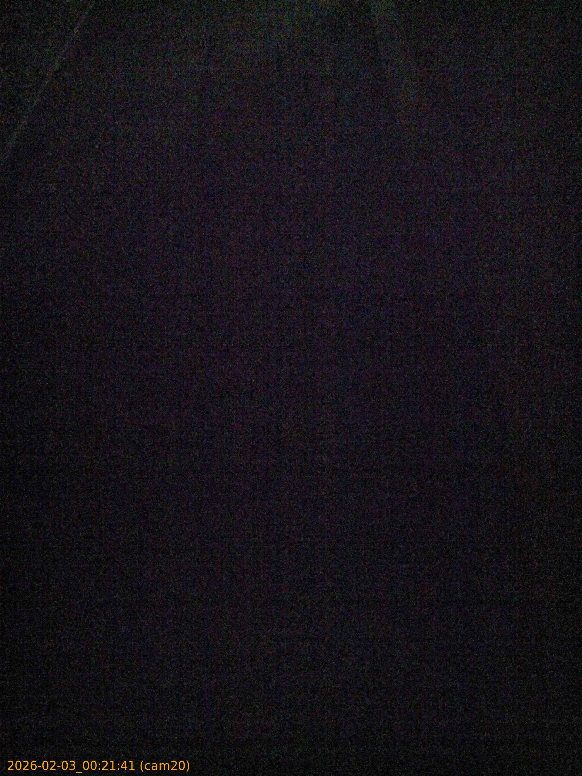 thumbnail_20260203002141