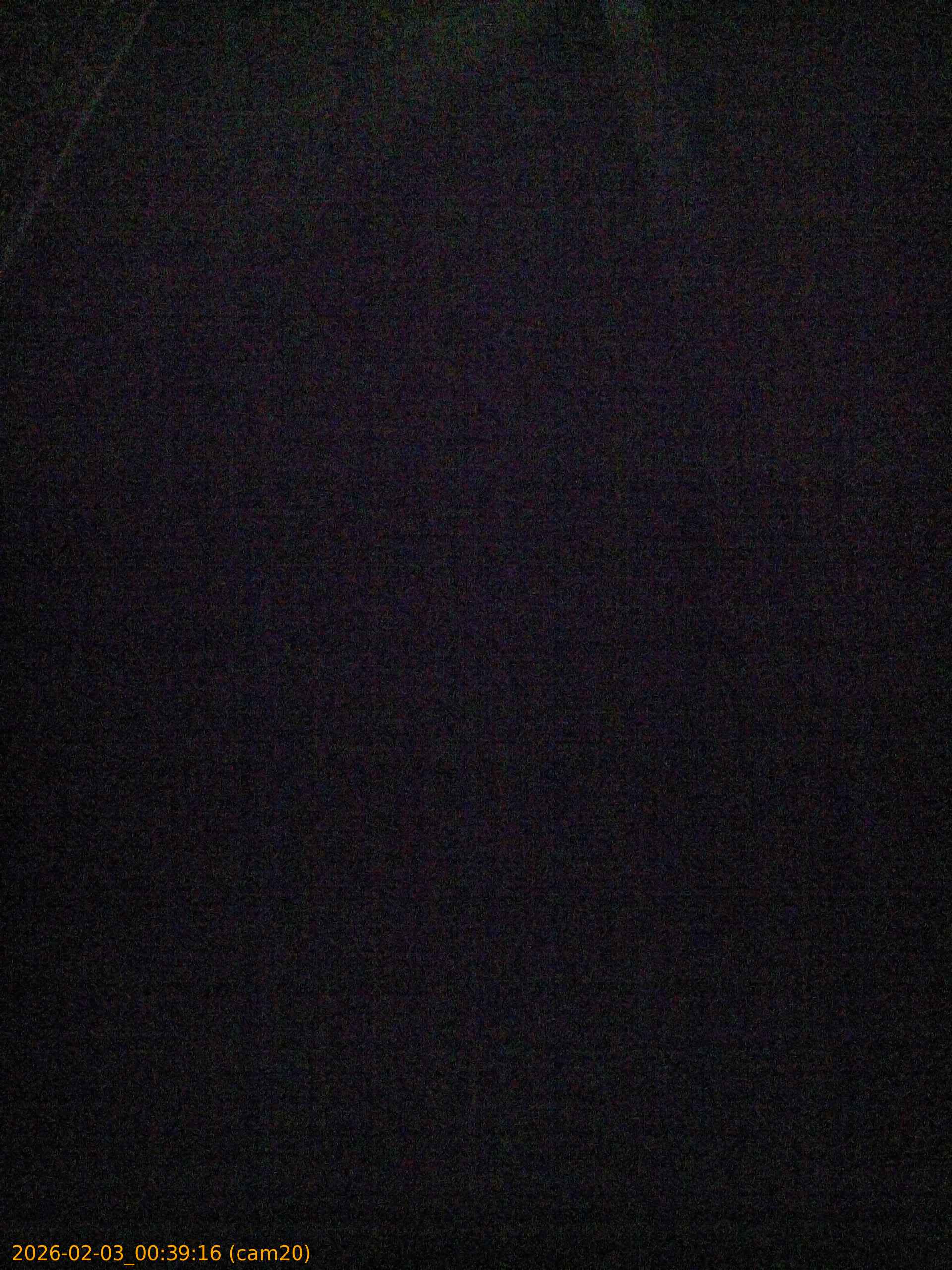 thumbnail_20260203003916