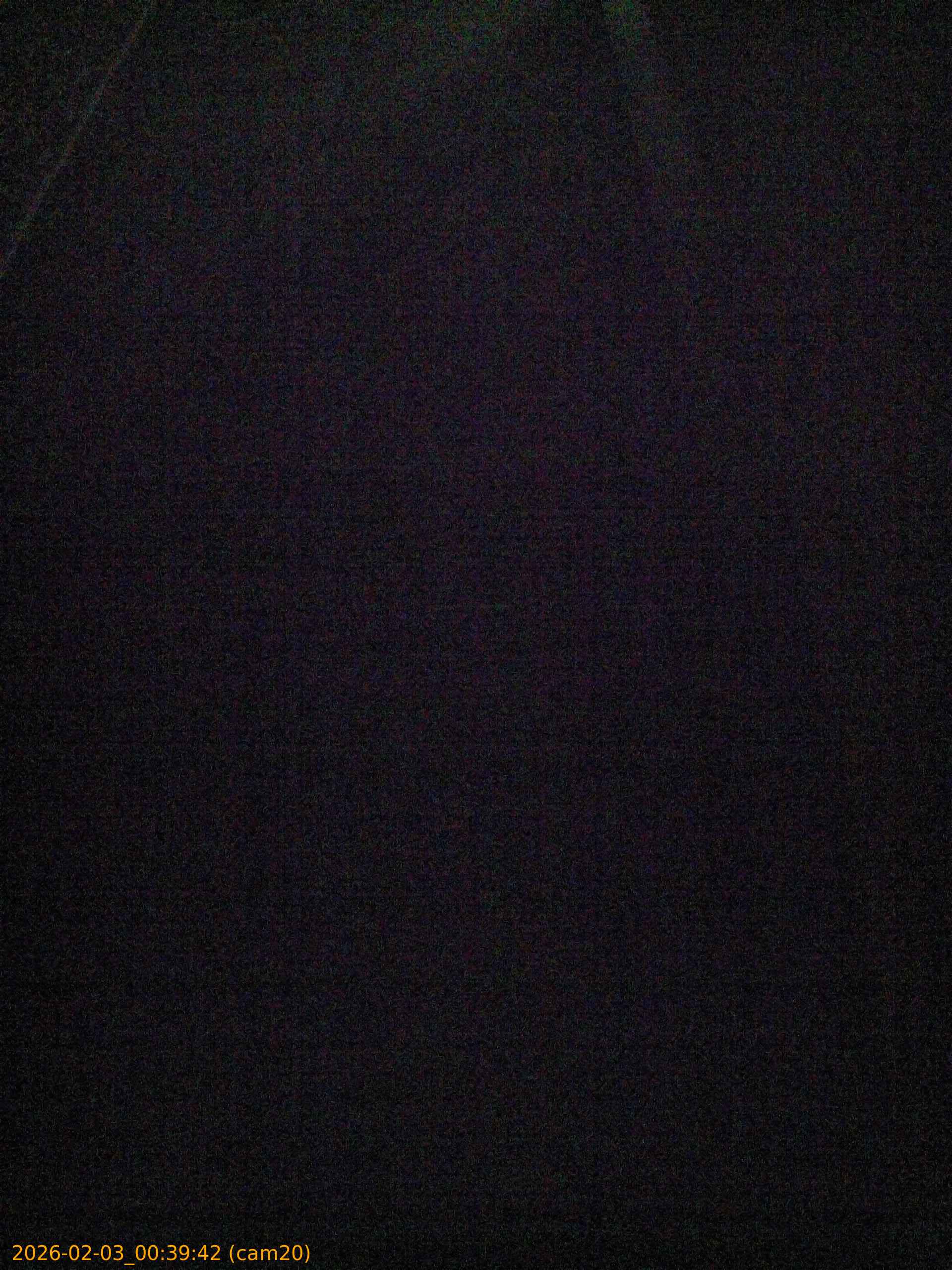 thumbnail_20260203003942