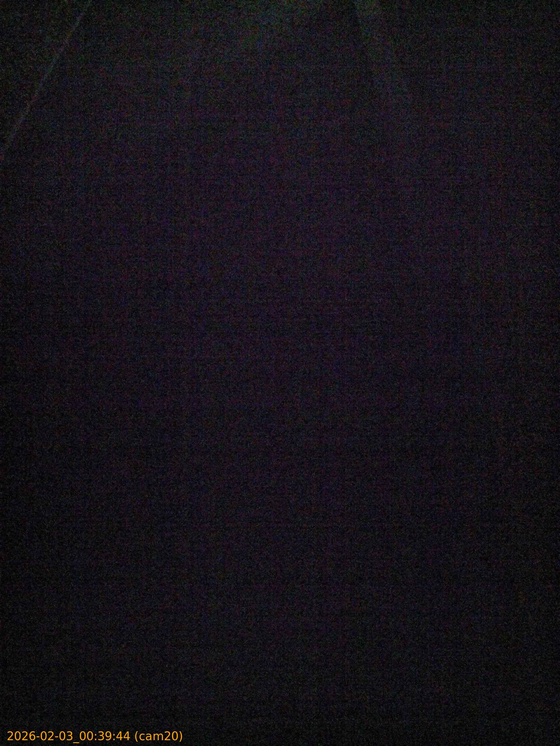 thumbnail_20260203003944