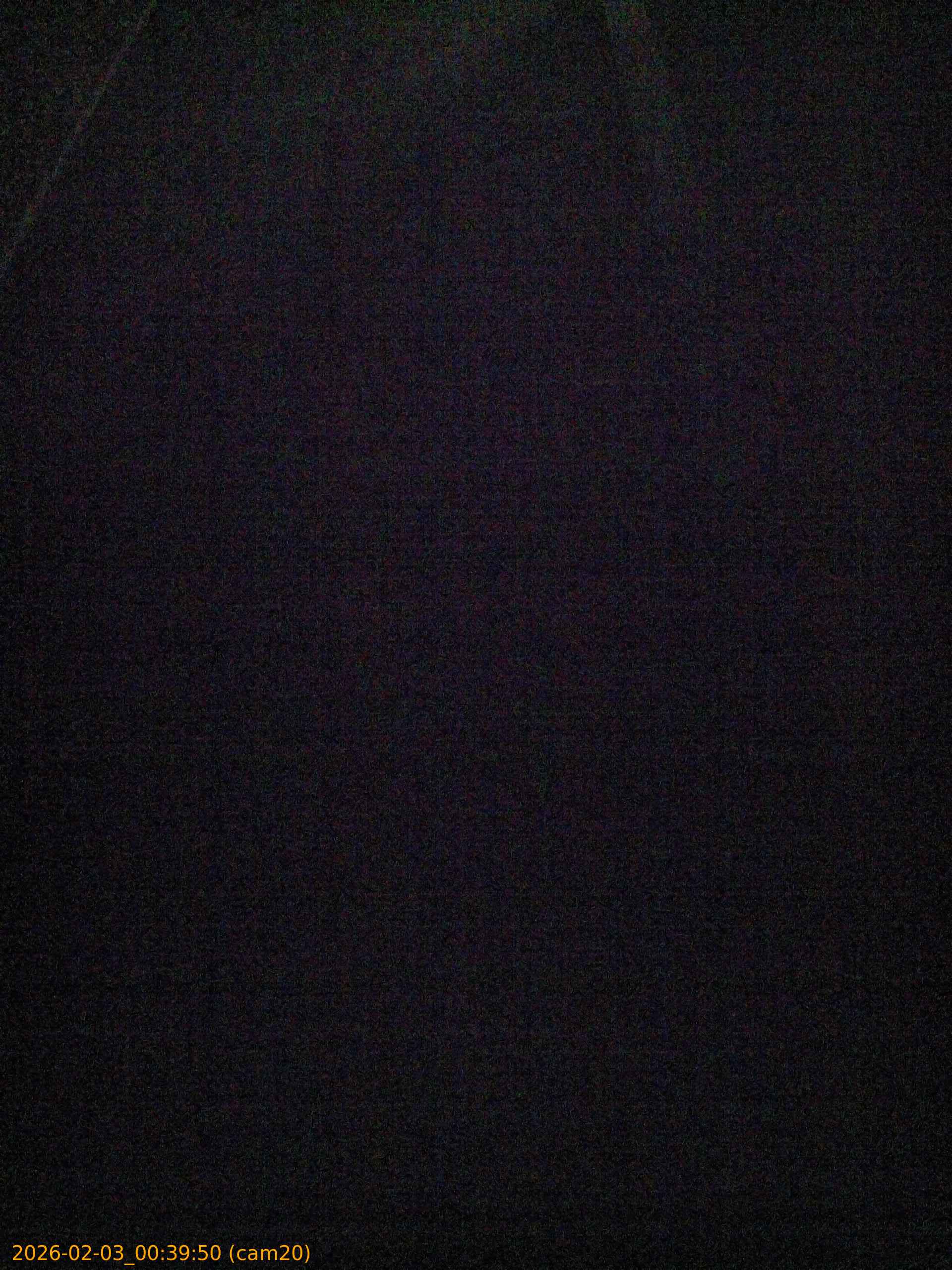 thumbnail_20260203003950