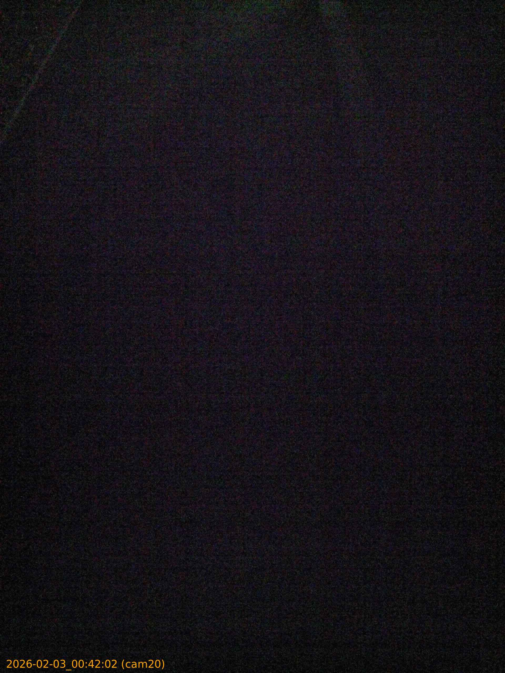 thumbnail_20260203004202