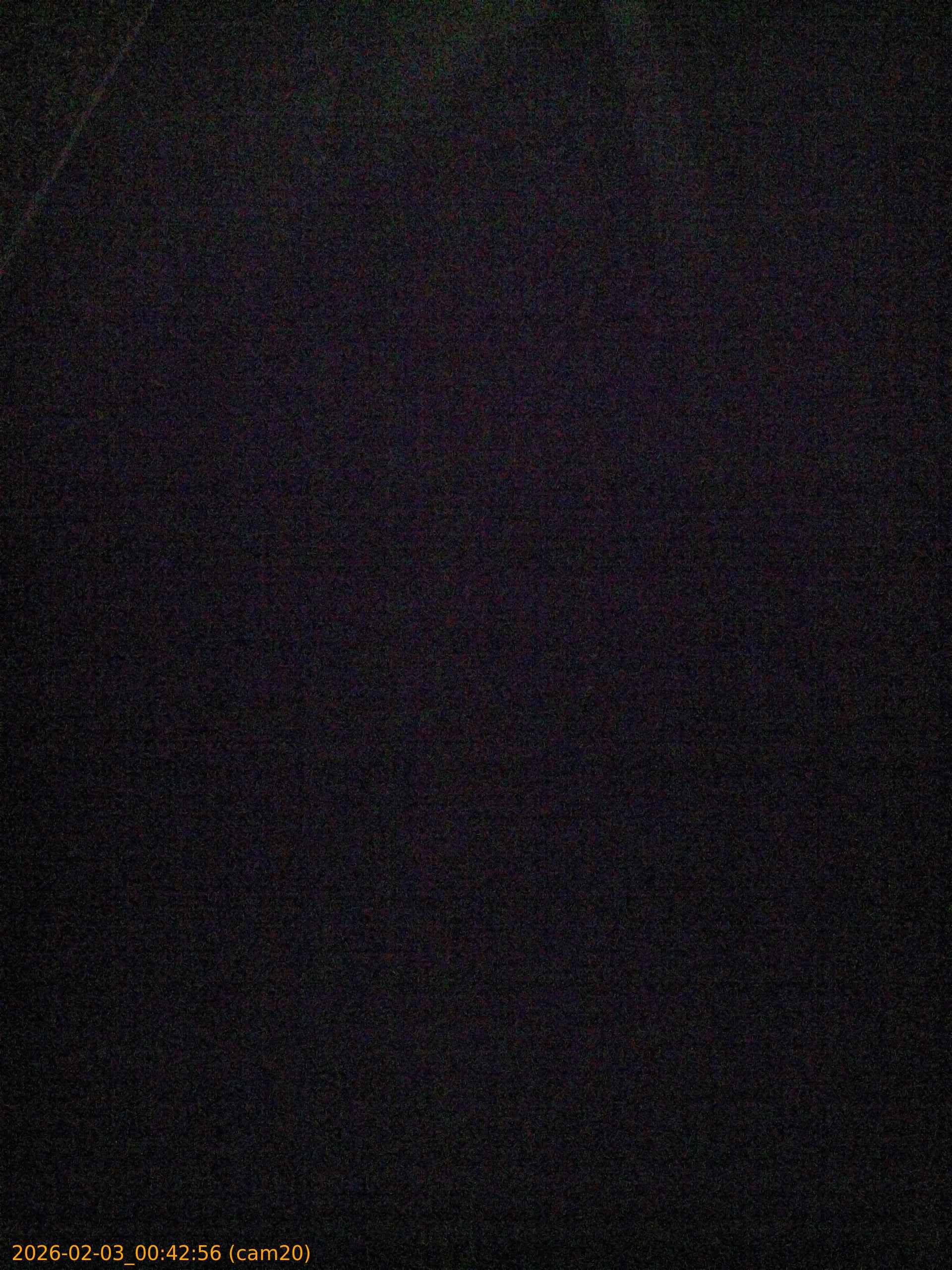 thumbnail_20260203004256