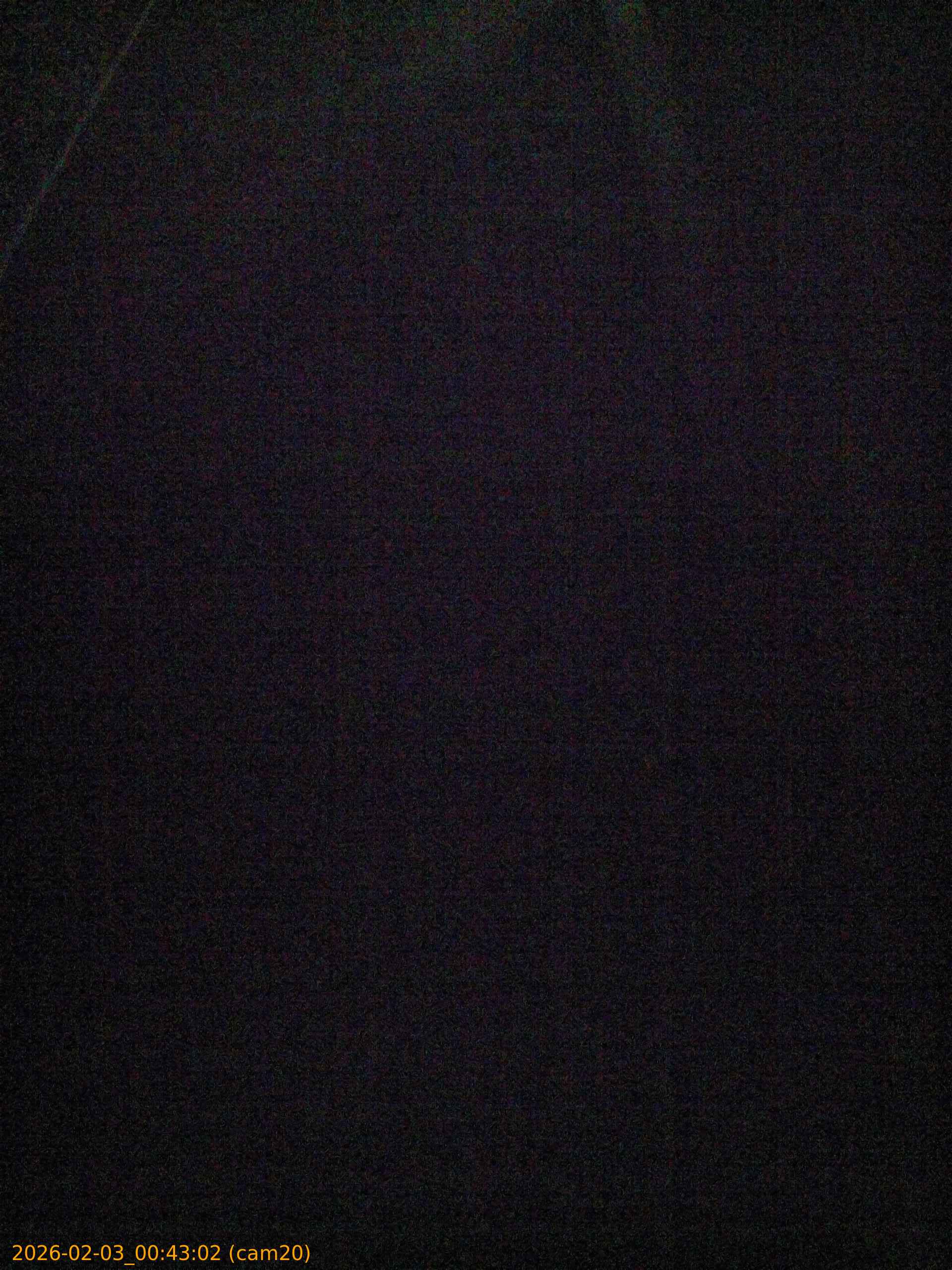 thumbnail_20260203004302