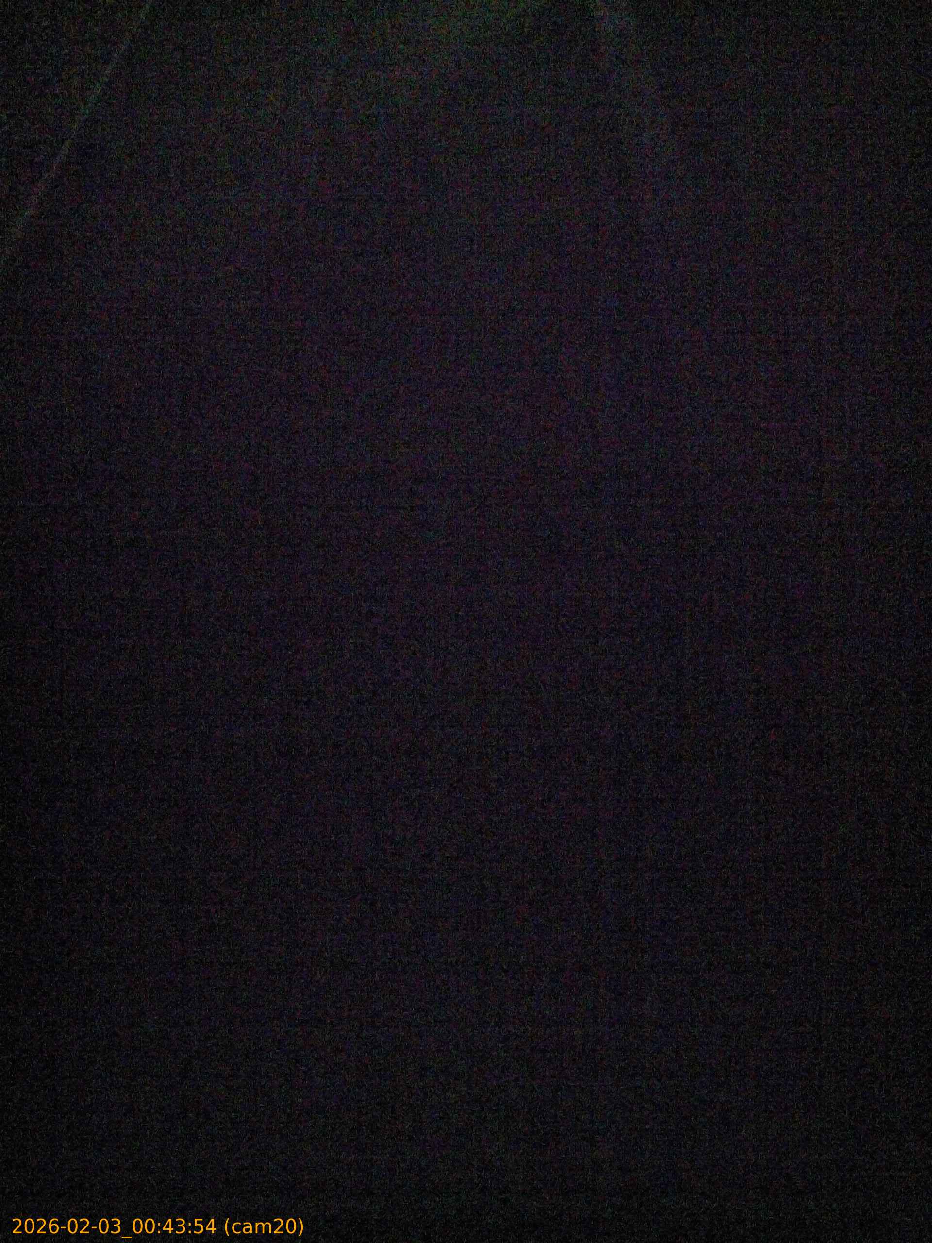 thumbnail_20260203004354