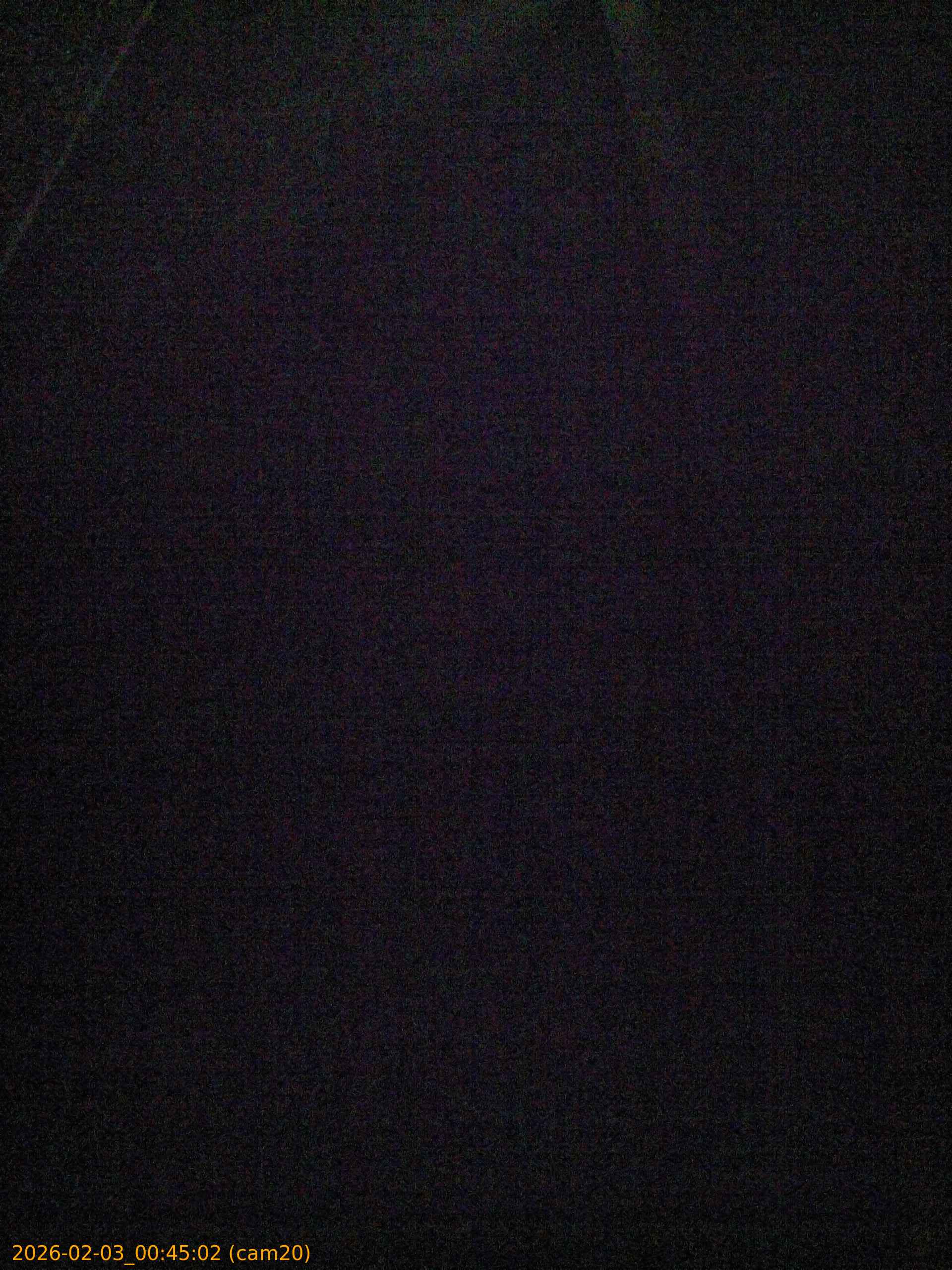 thumbnail_20260203004502