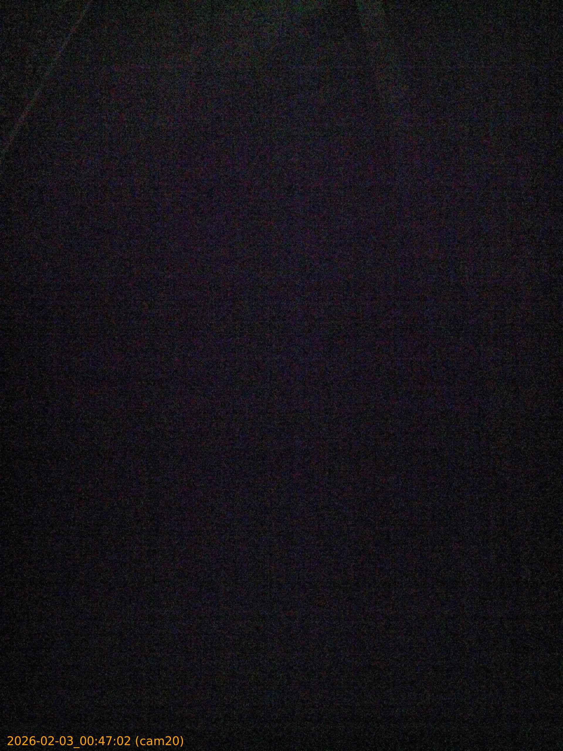 thumbnail_20260203004702