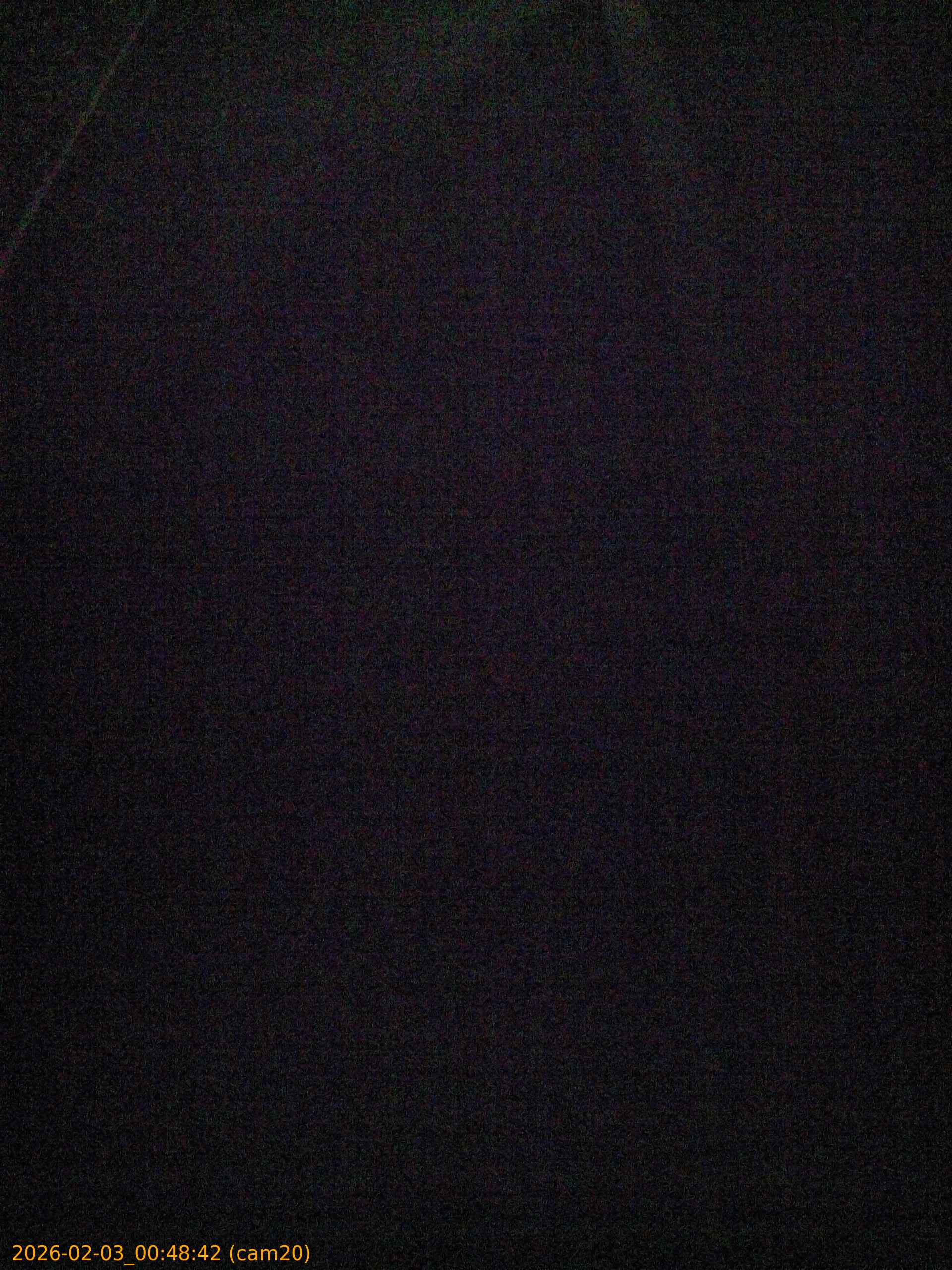 thumbnail_20260203004841