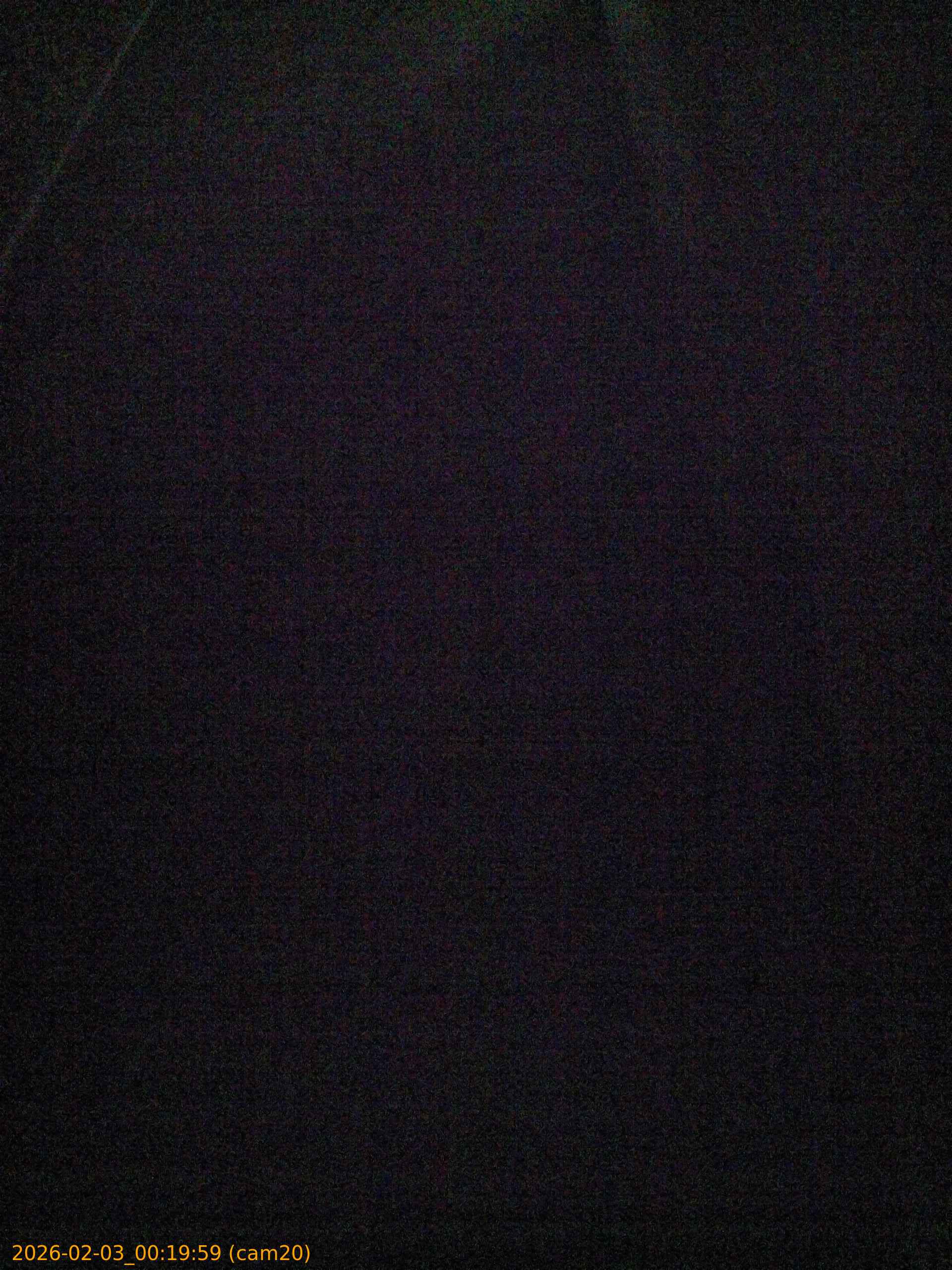 thumbnail_202602030019