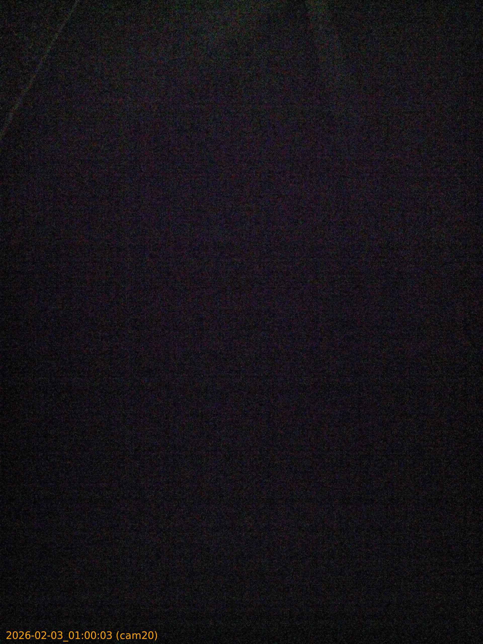 thumbnail_20260203010003