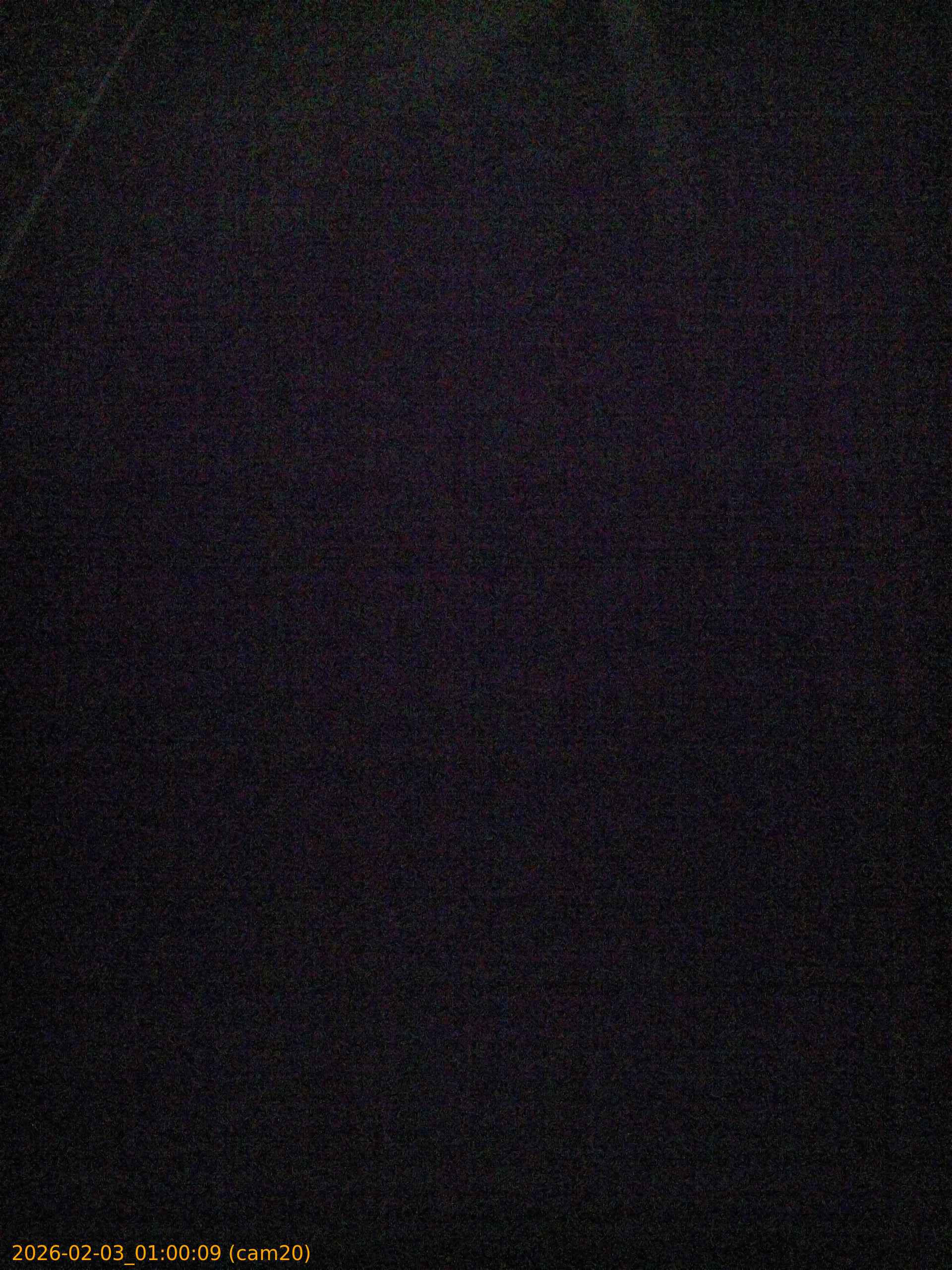 thumbnail_20260203010009