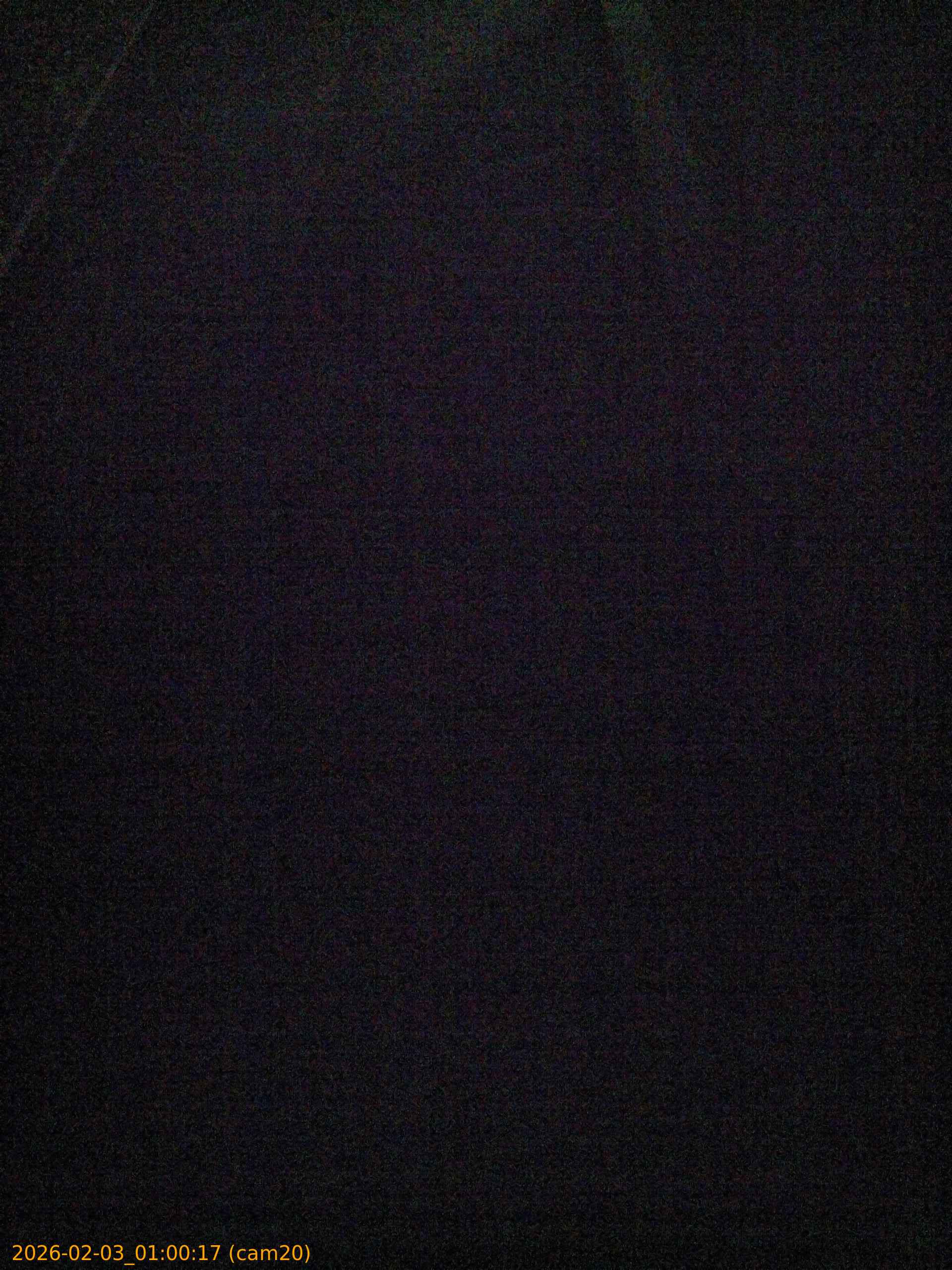 thumbnail_20260203010017