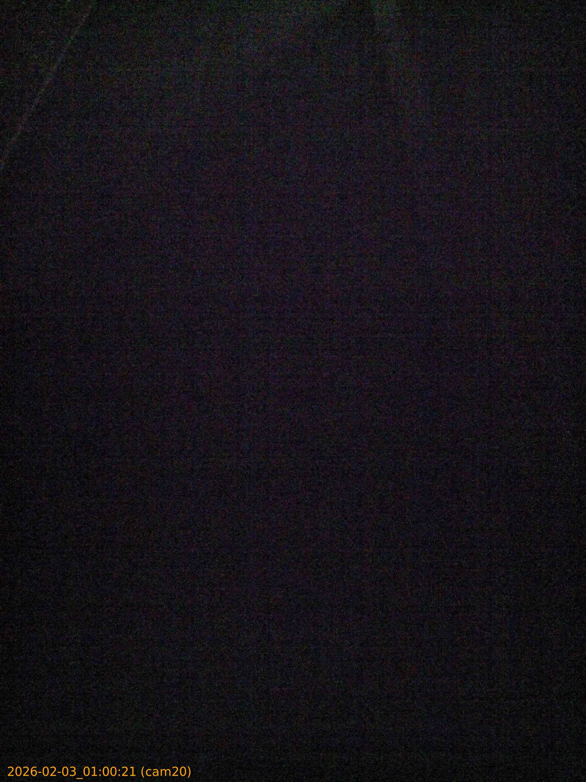 thumbnail_20260203010021