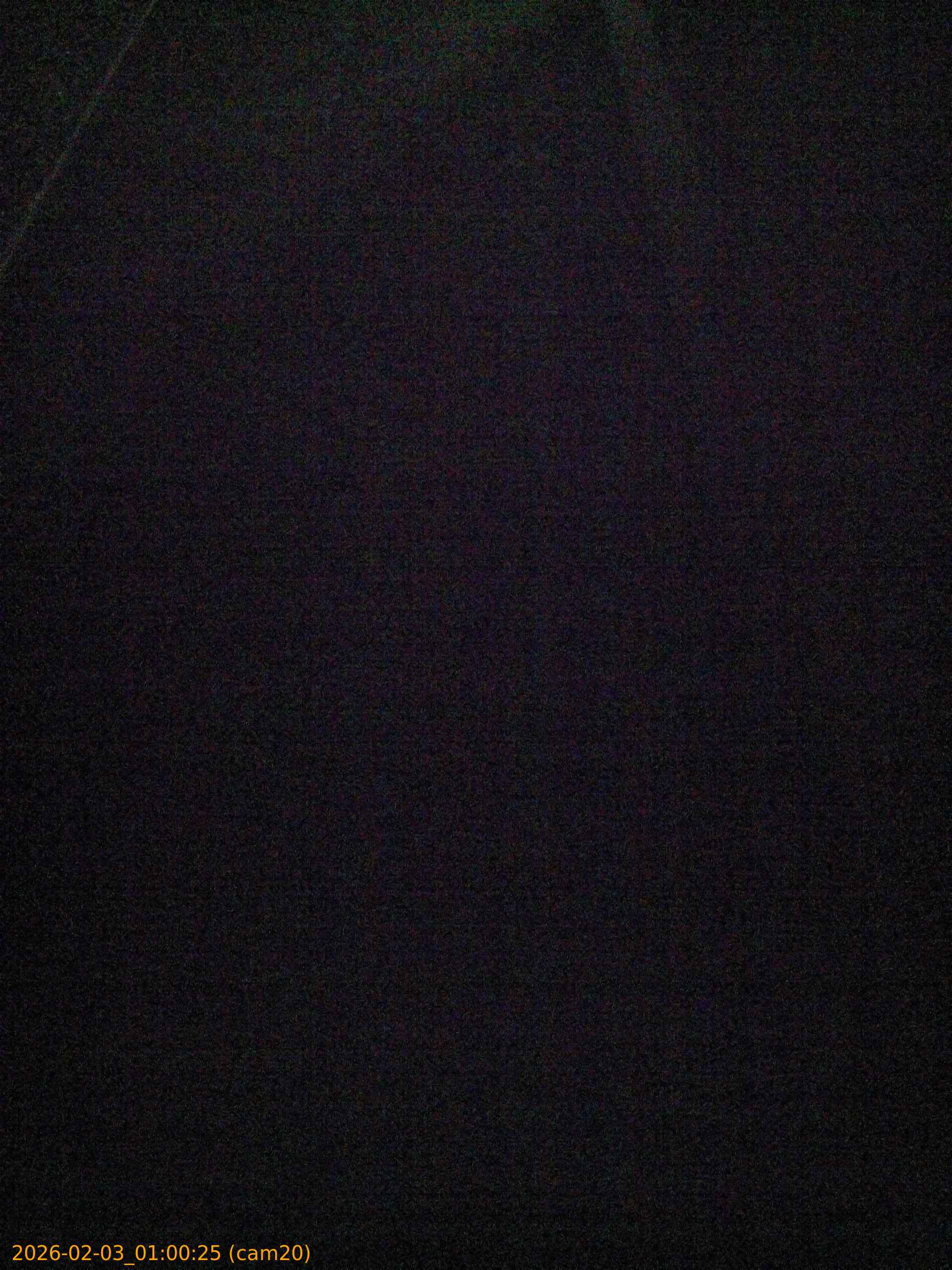 thumbnail_20260203010025