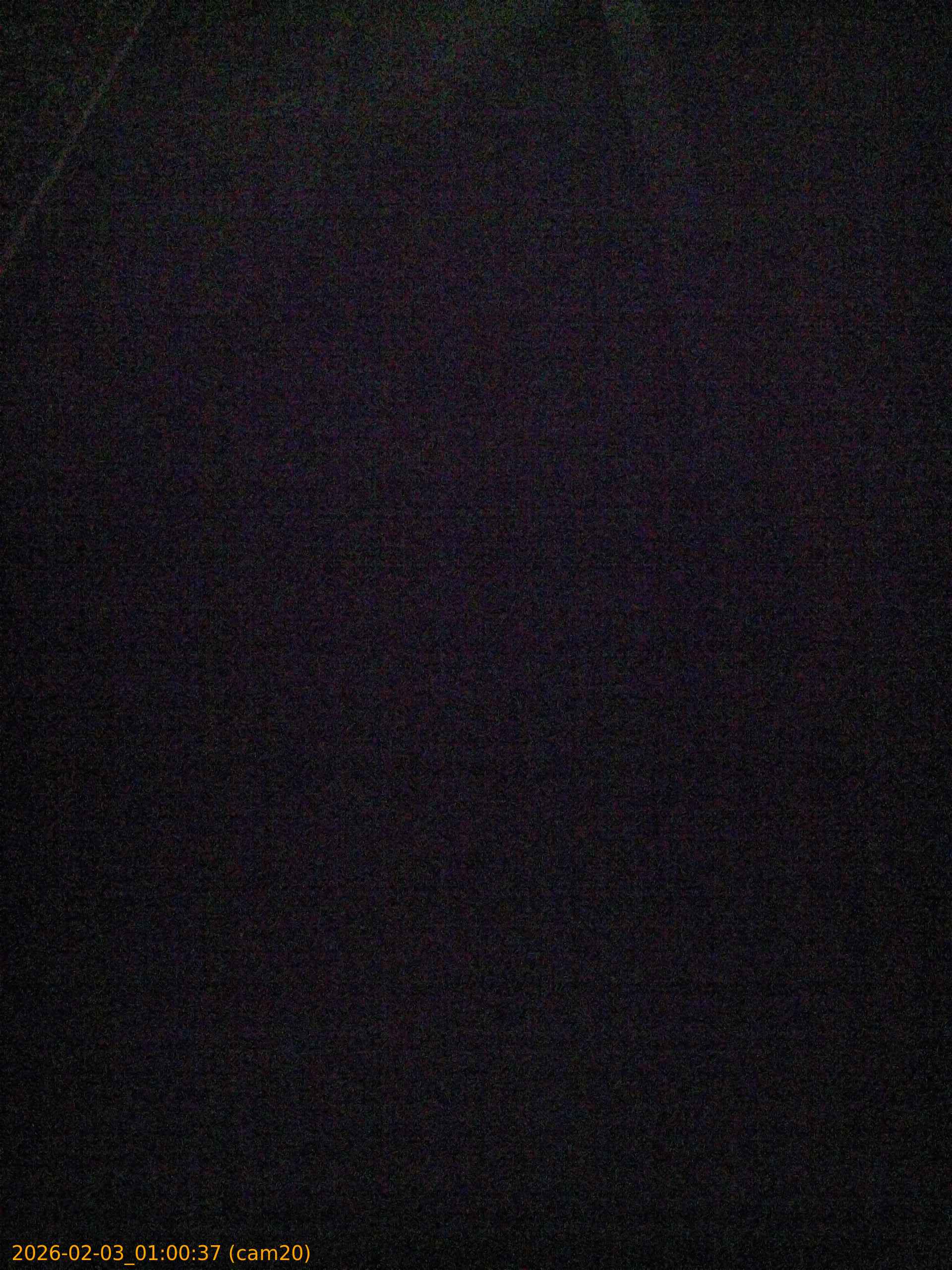 thumbnail_20260203010037