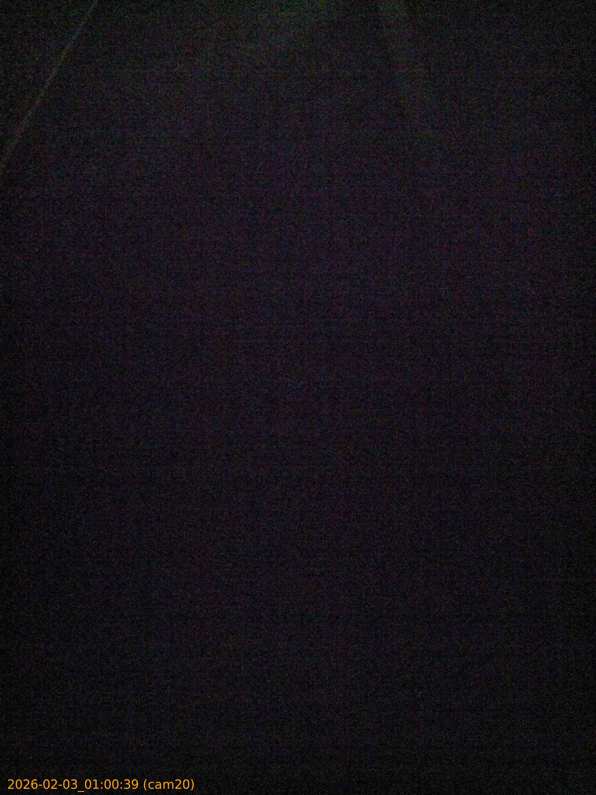 thumbnail_20260203010039