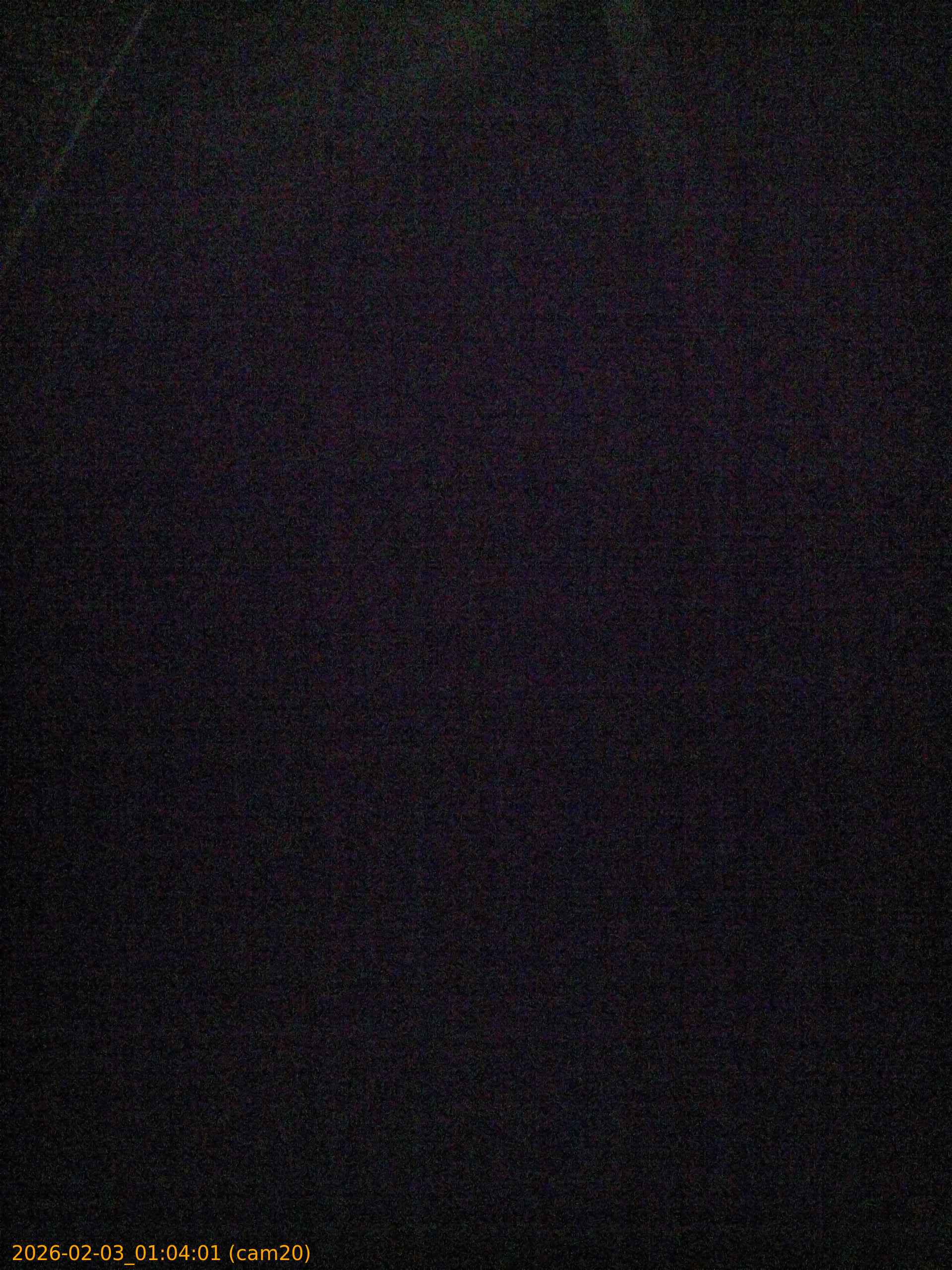 thumbnail_20260203010401