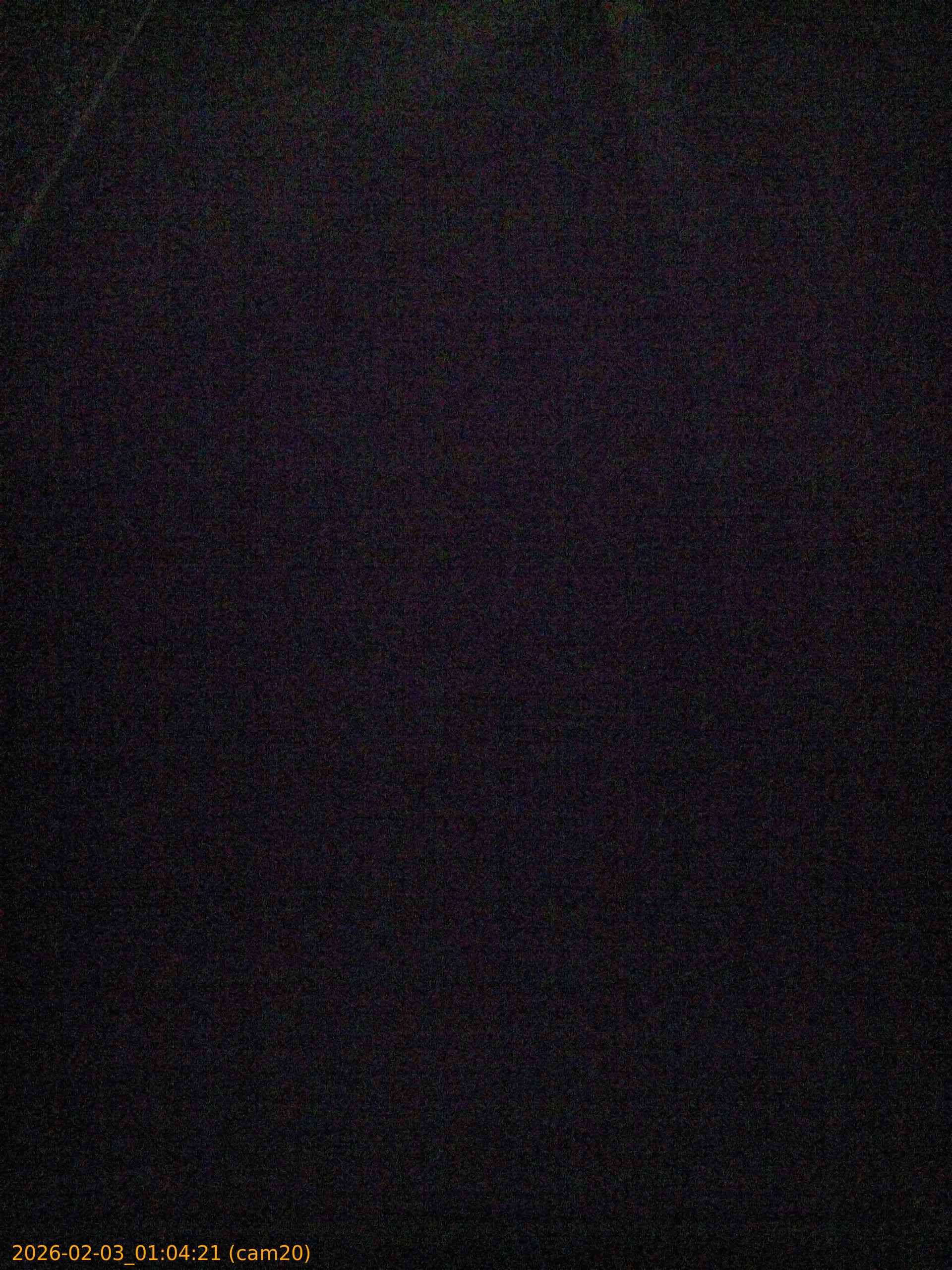 thumbnail_20260203010421