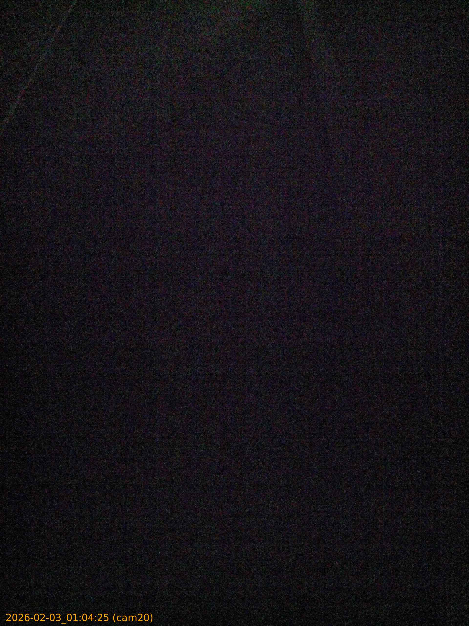 thumbnail_20260203010425