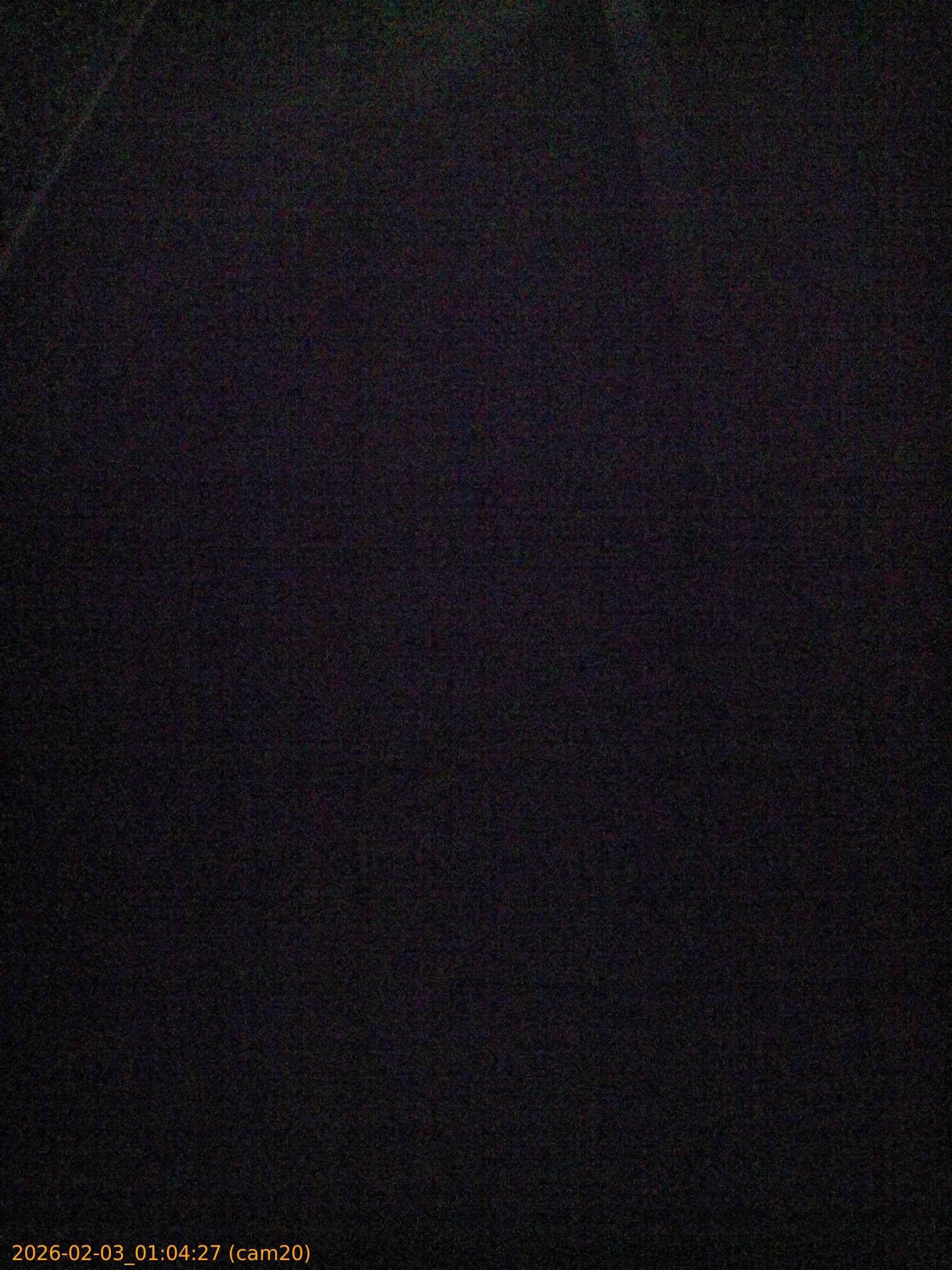 thumbnail_20260203010427