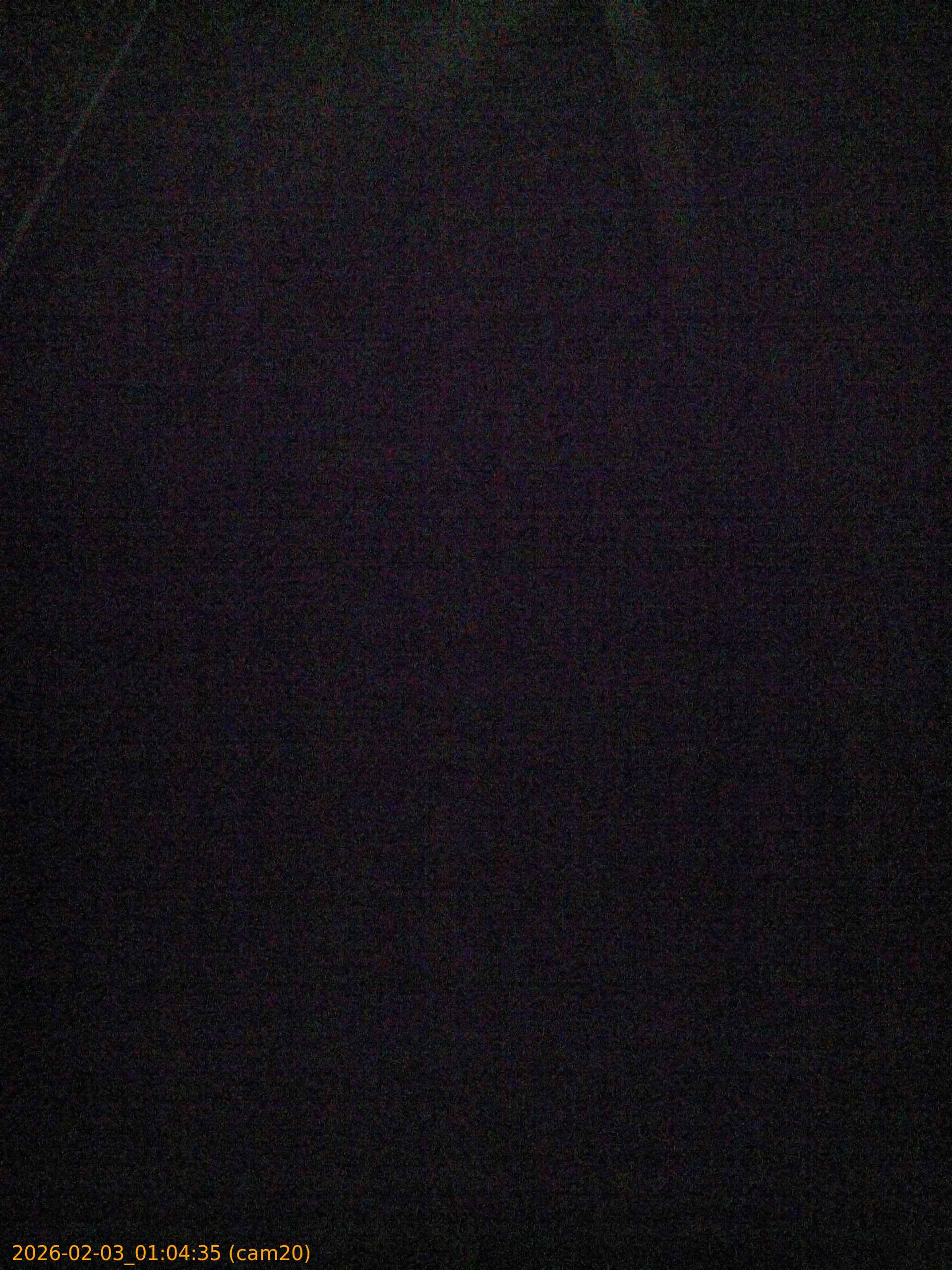 thumbnail_20260203010435