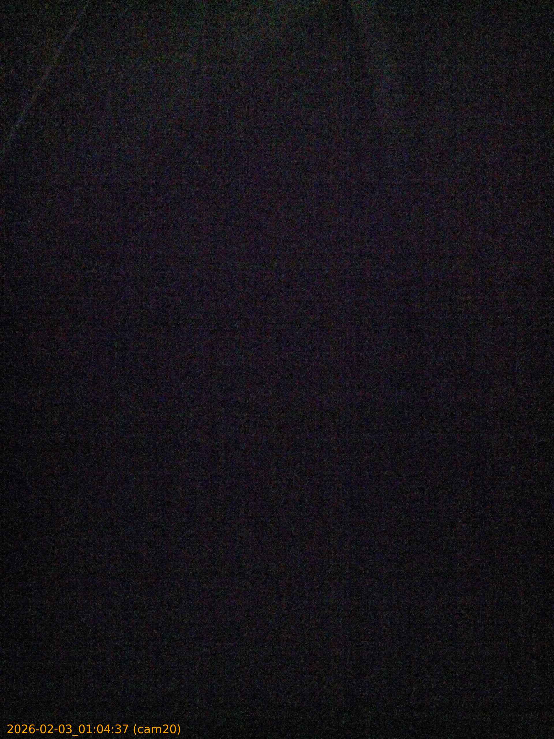 thumbnail_20260203010437