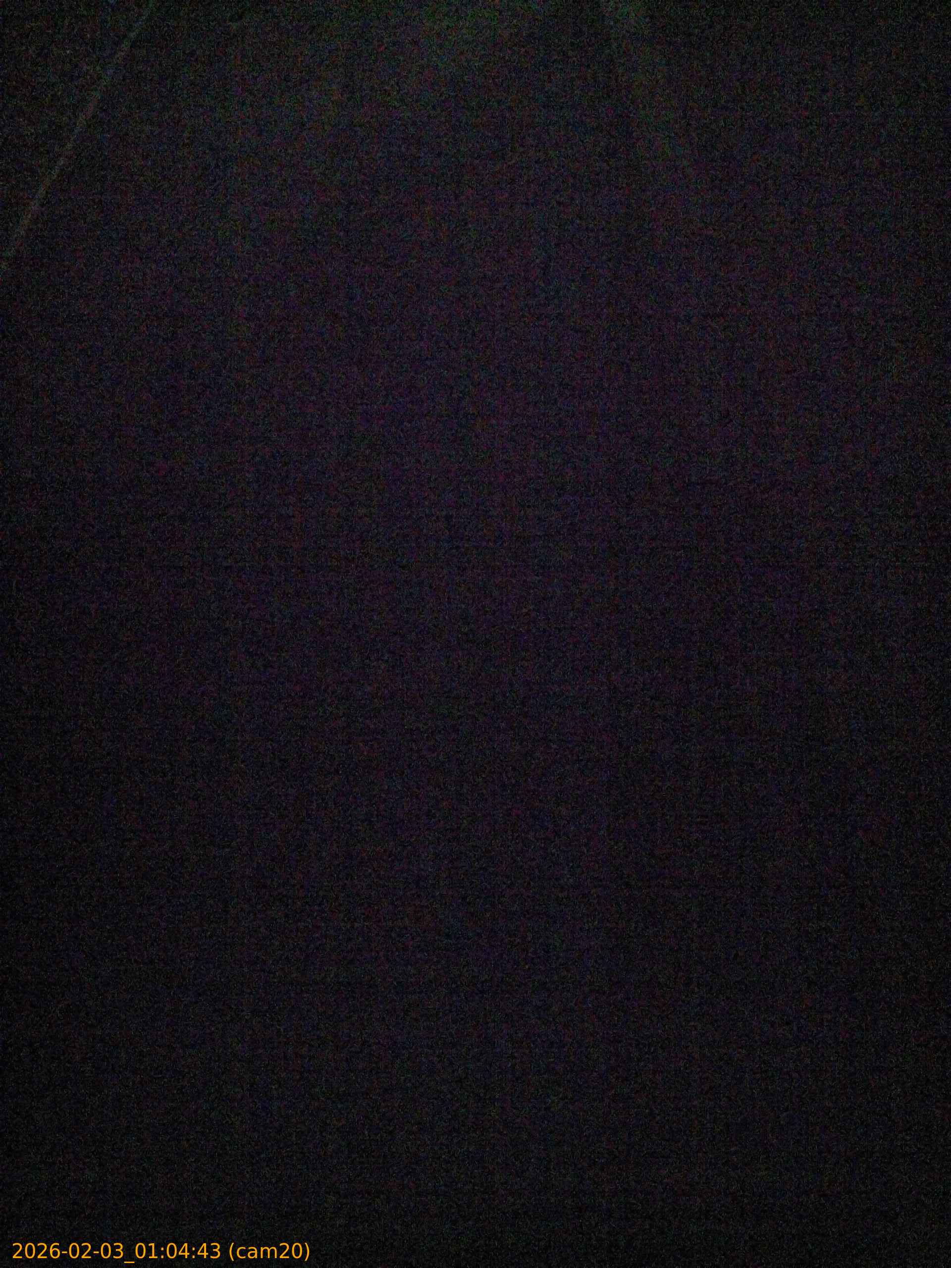 thumbnail_20260203010443