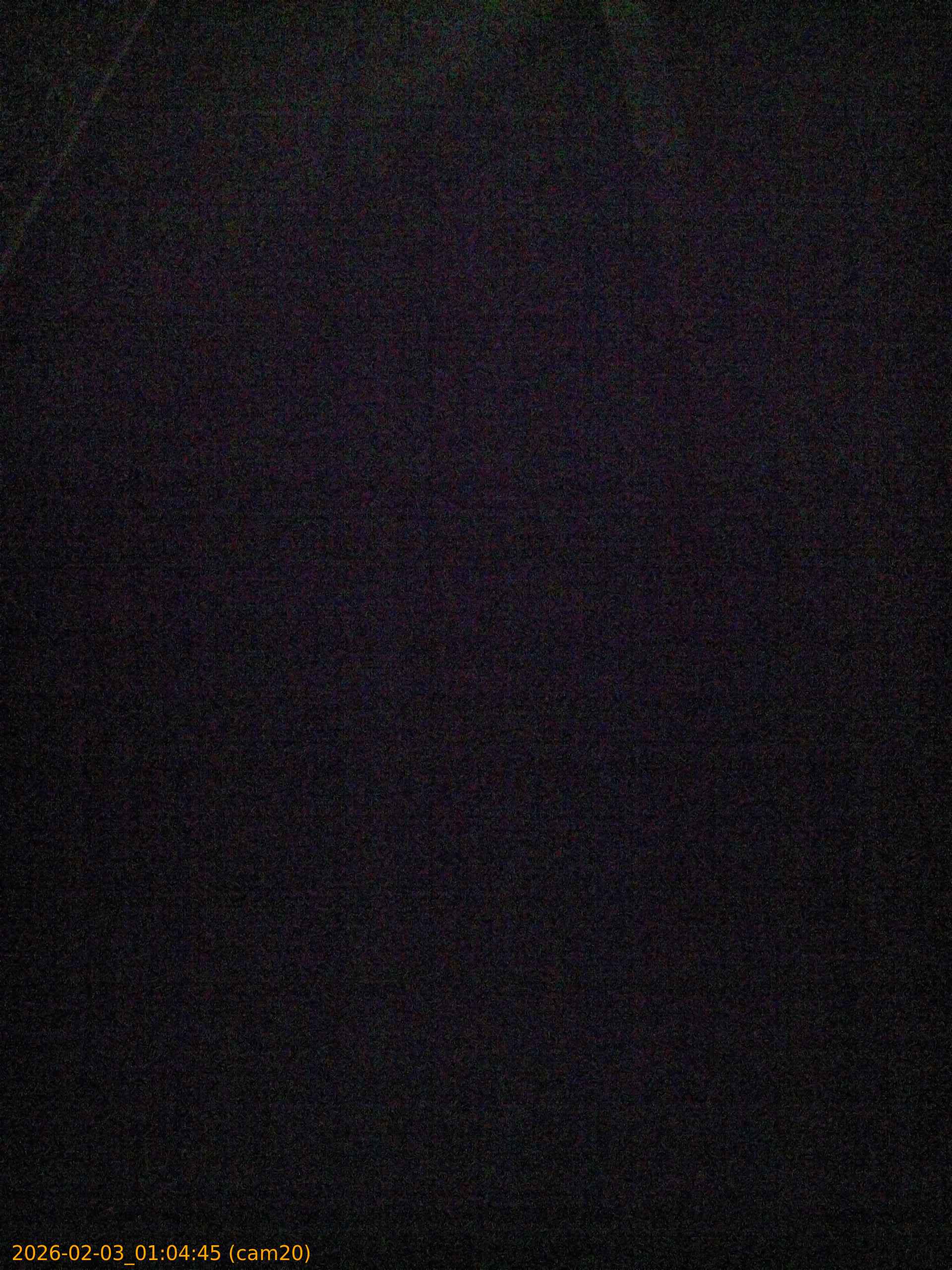 thumbnail_20260203010445