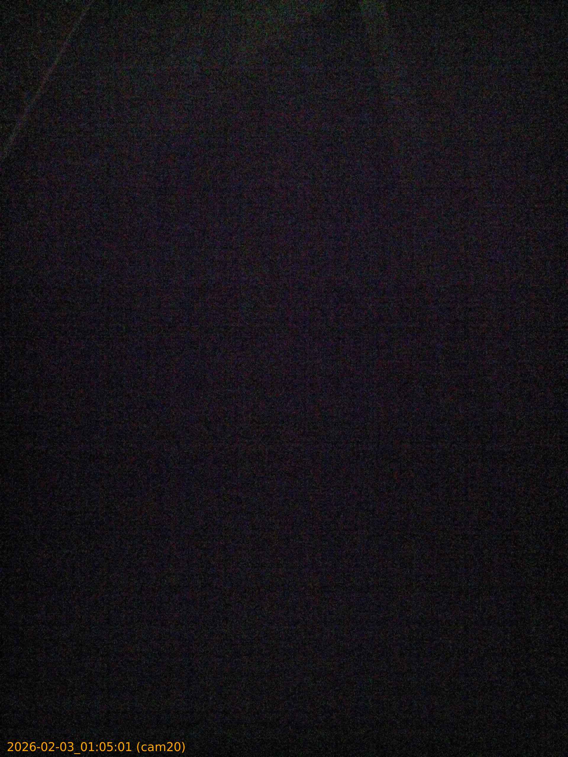 thumbnail_20260203010501