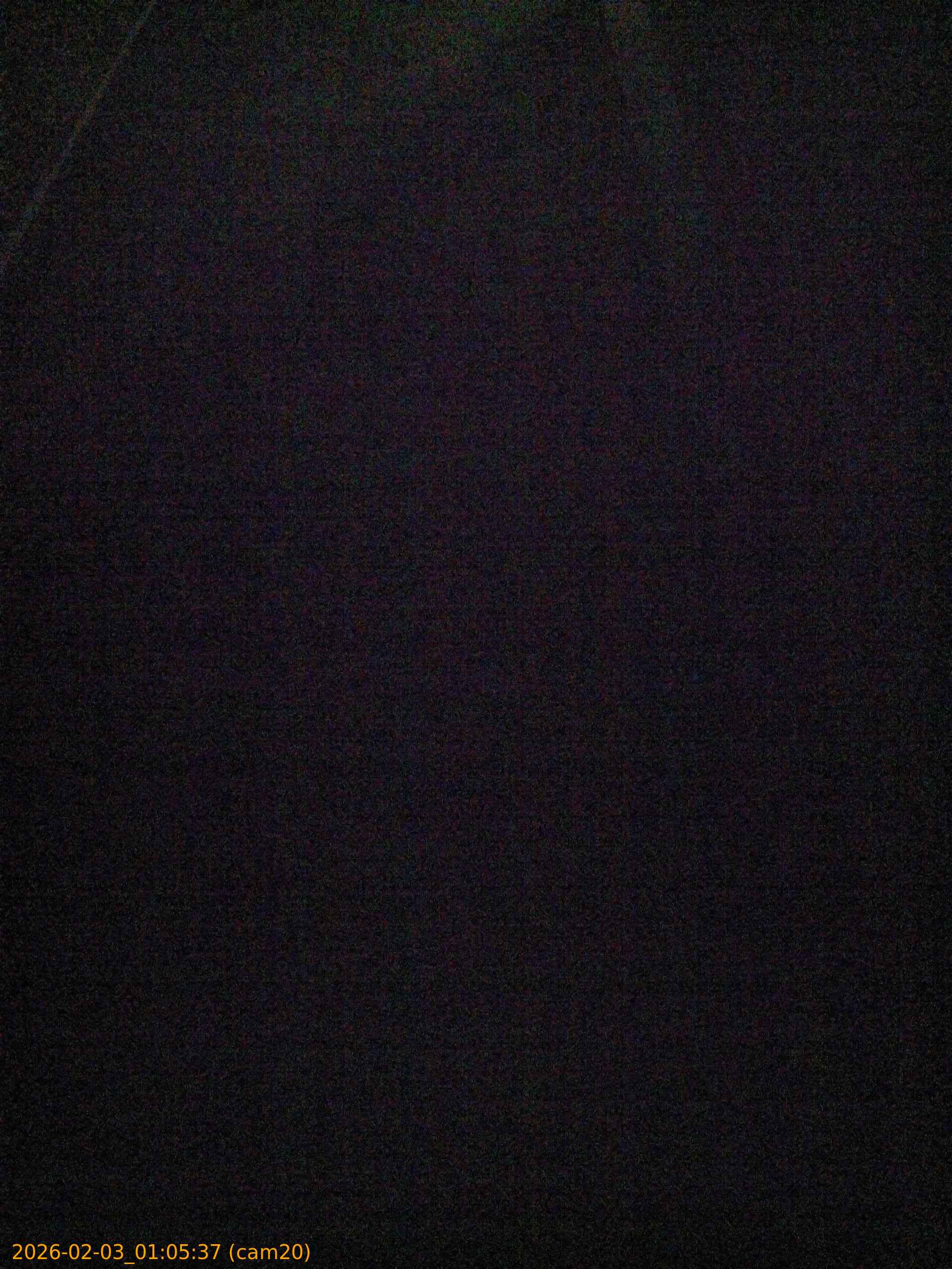 thumbnail_20260203010537