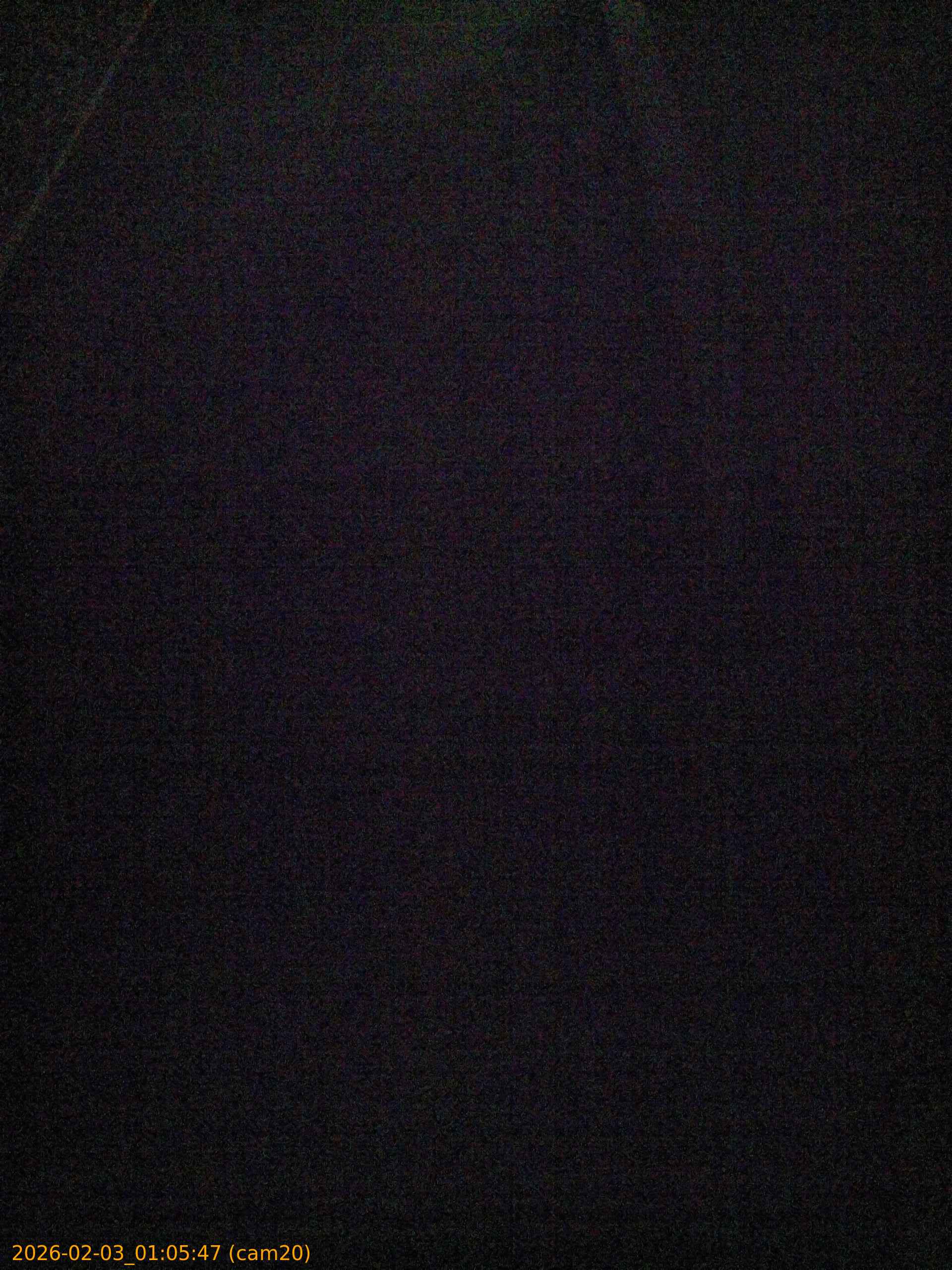 thumbnail_20260203010547