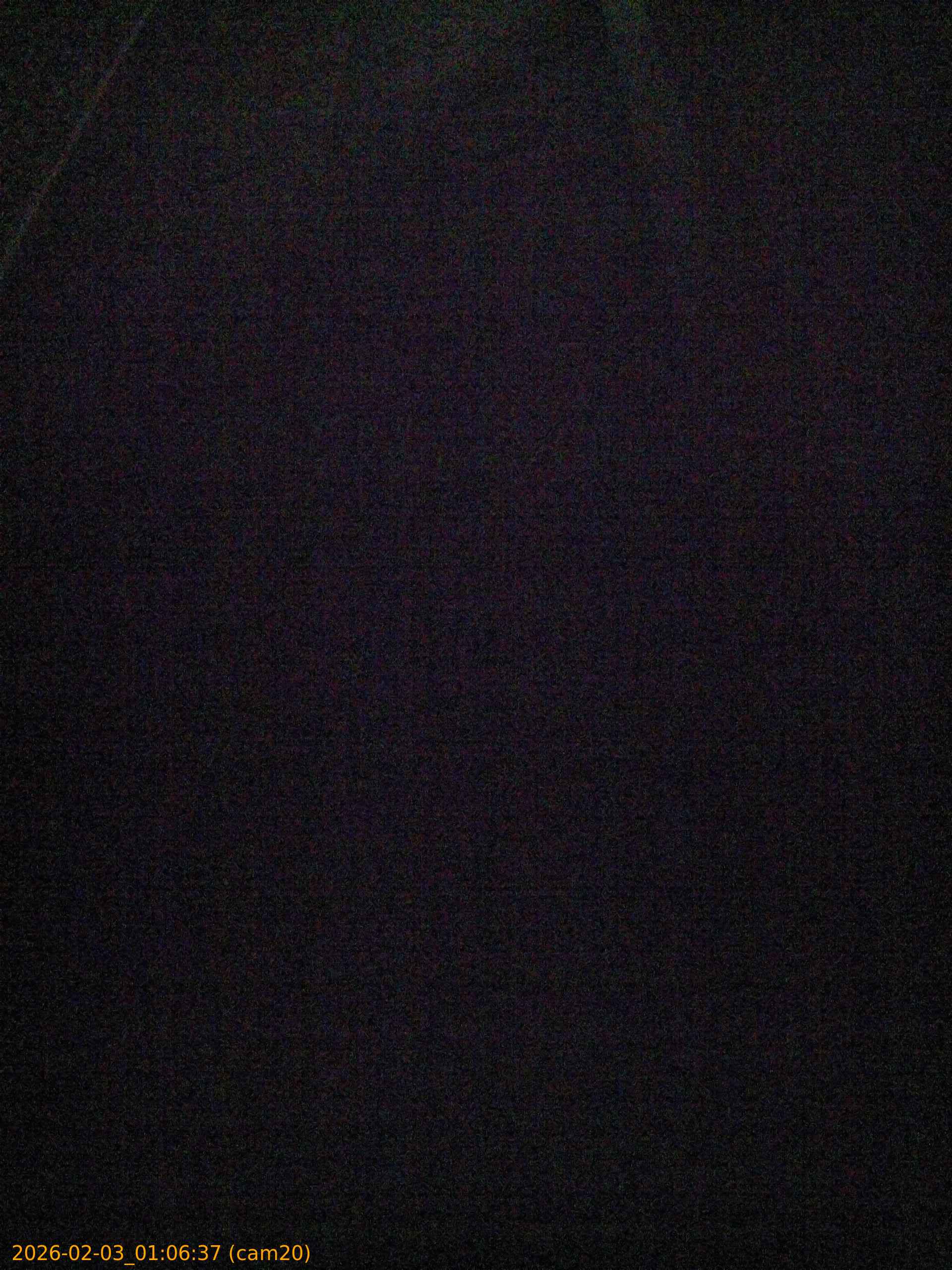 20260203010637
