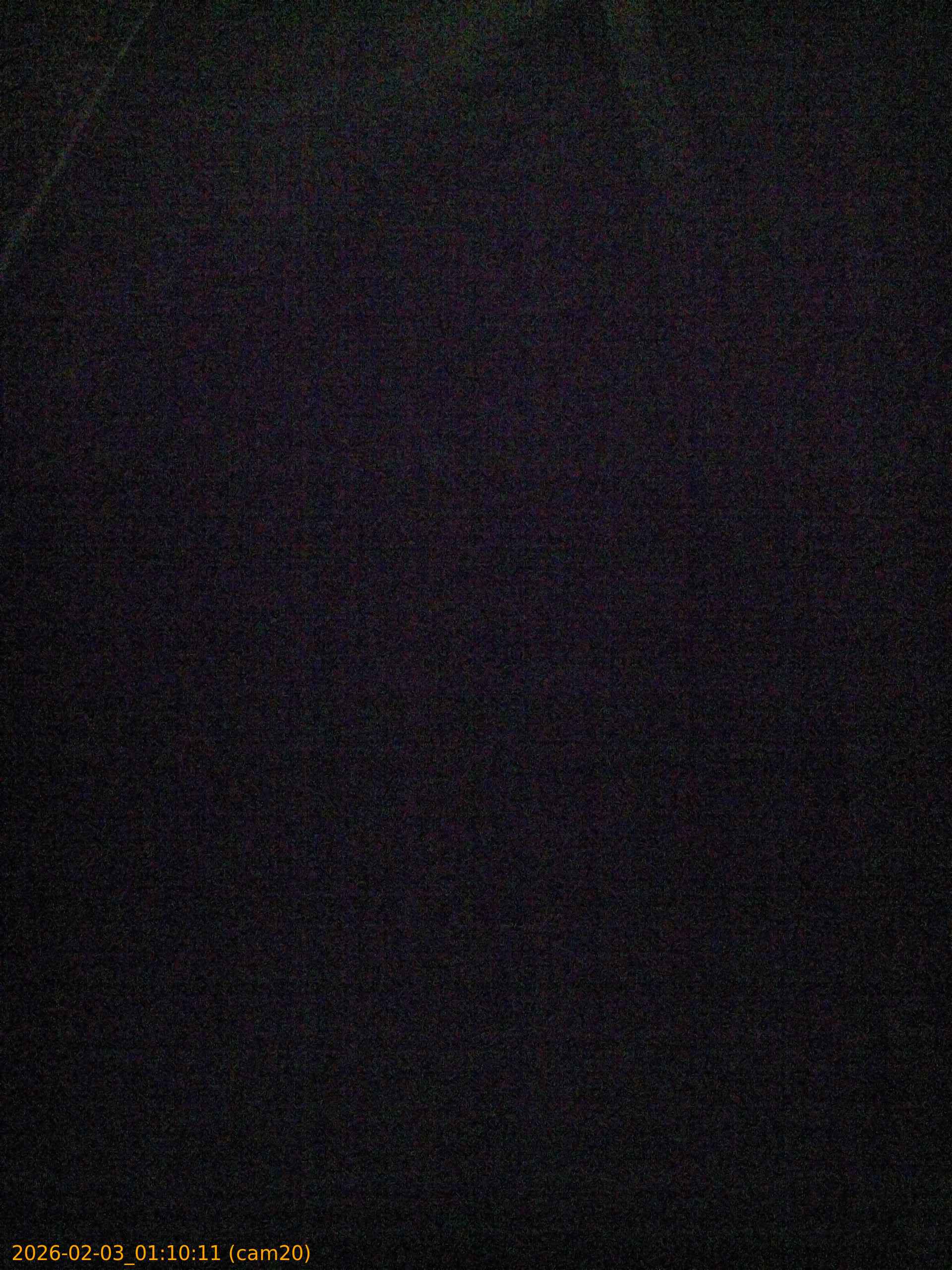 thumbnail_20260203011011