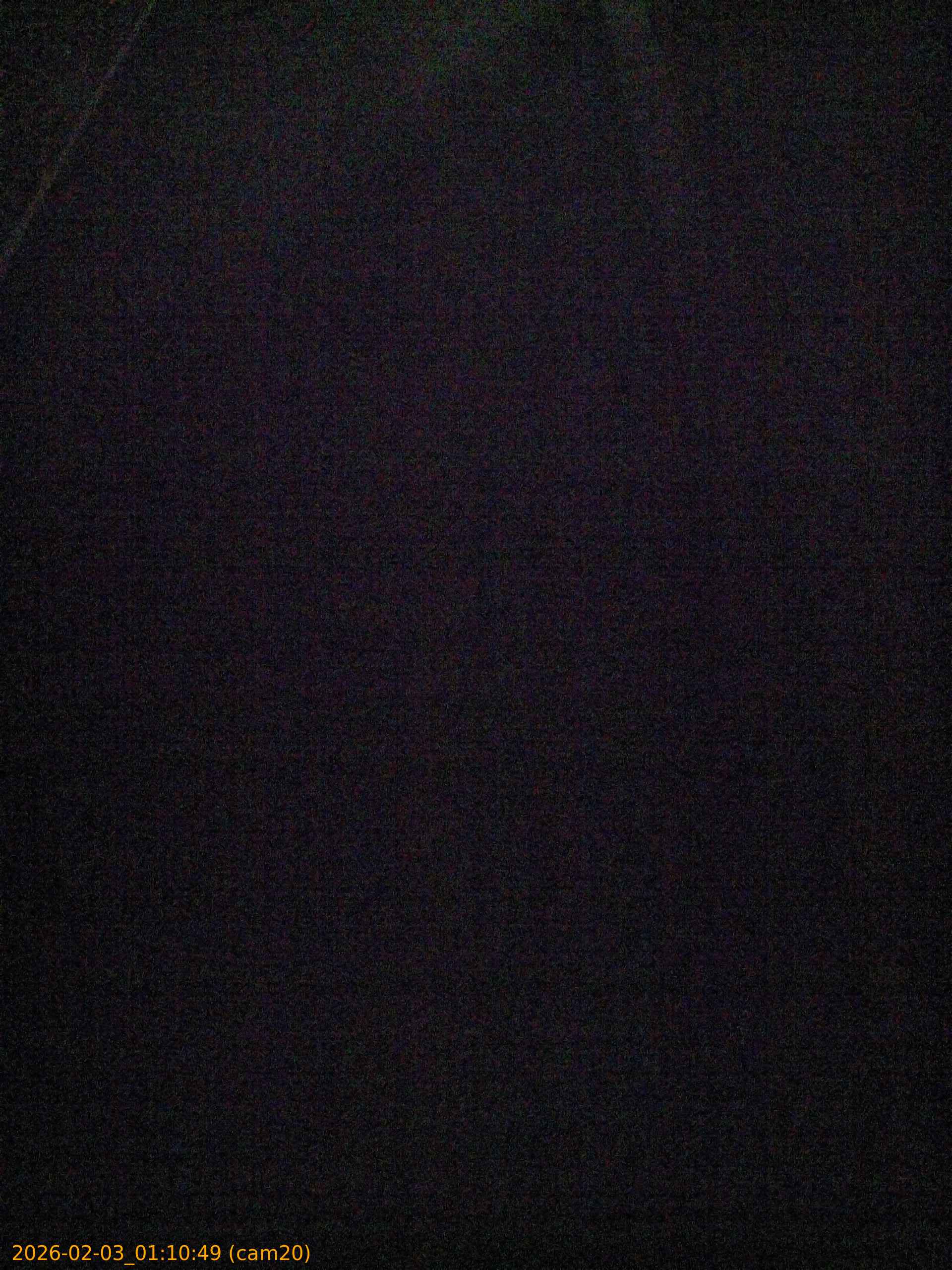 thumbnail_20260203011049